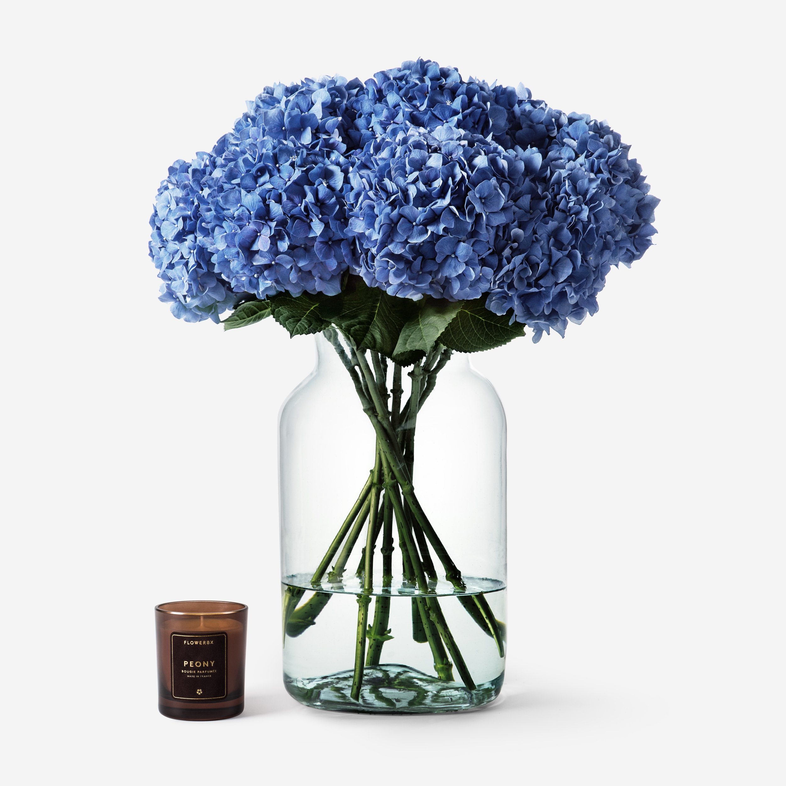 Hydrangea-Sky-Blue-Vase-10x-W-Candle.jpg