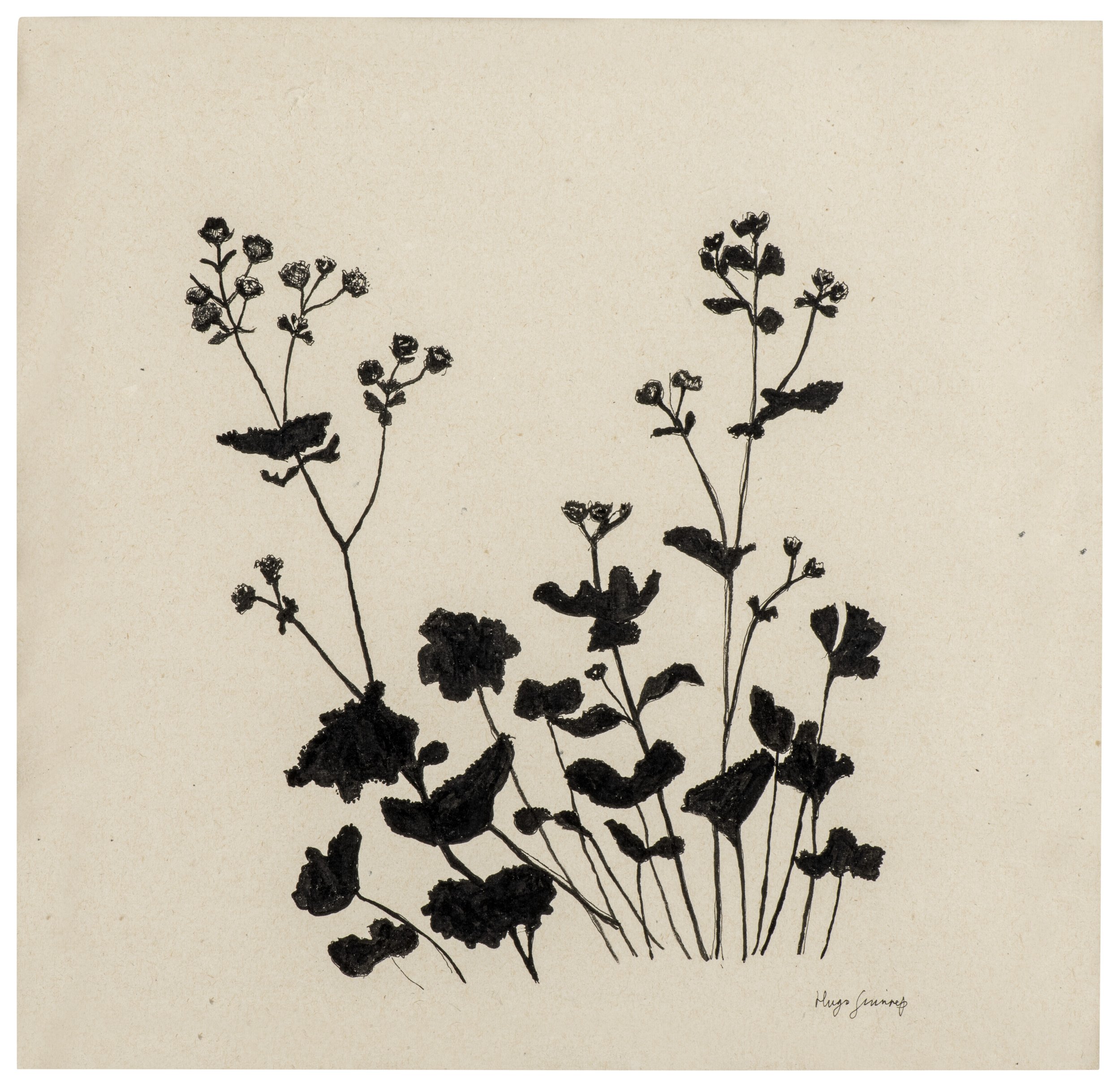 Hugo Guinness, a linocut from a set of four botanical studies (estimate £800-1,200).jpg