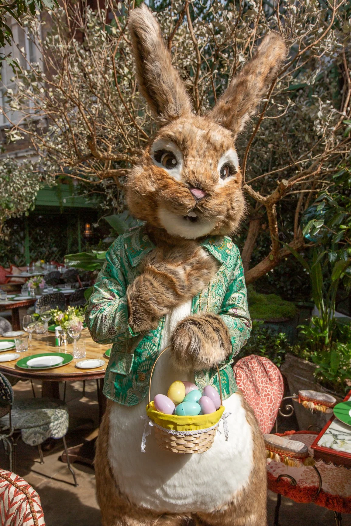 Annabel_s Easter Bunny - II.jpg
