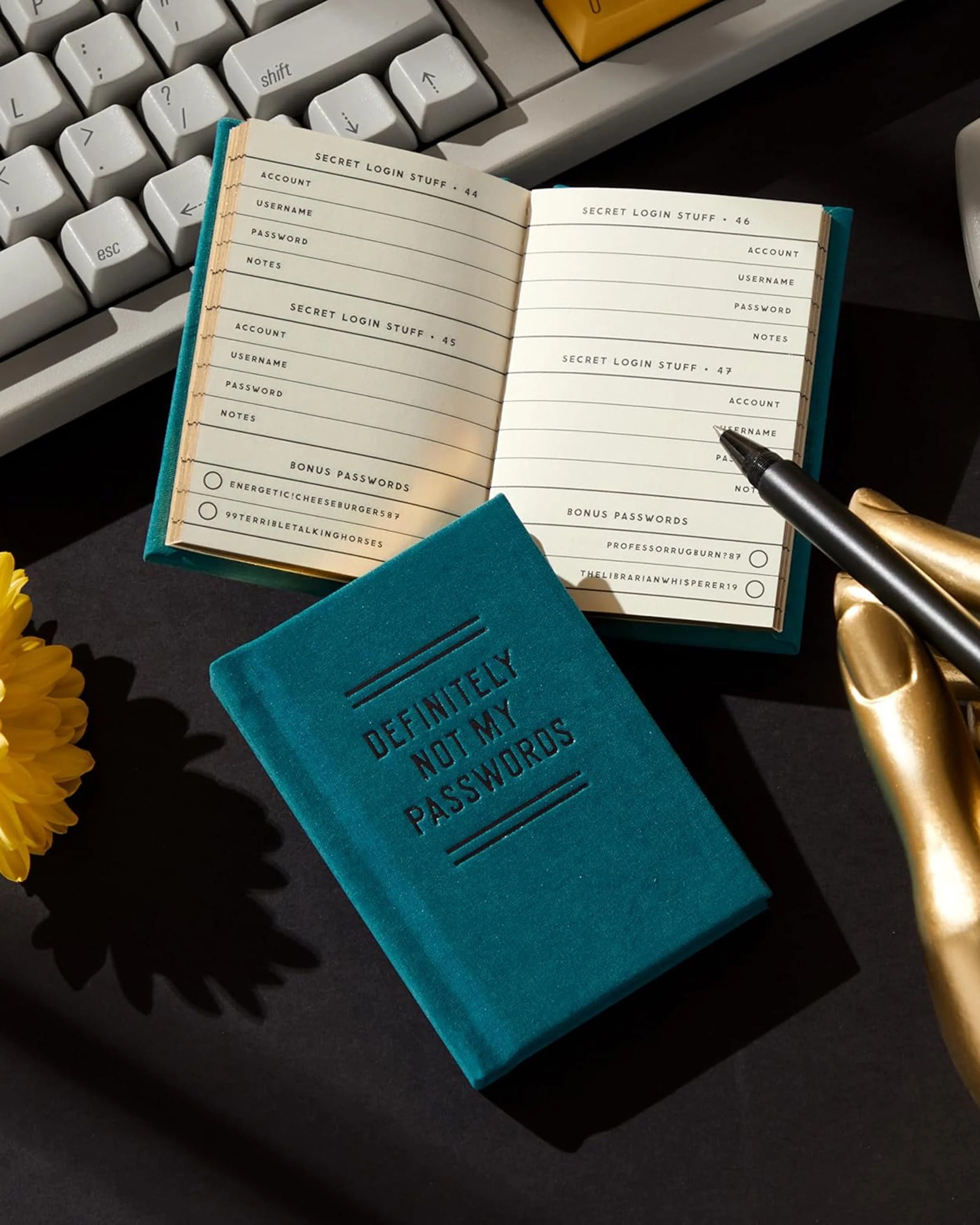 Definitely Not My Passwords Diary3.jpg