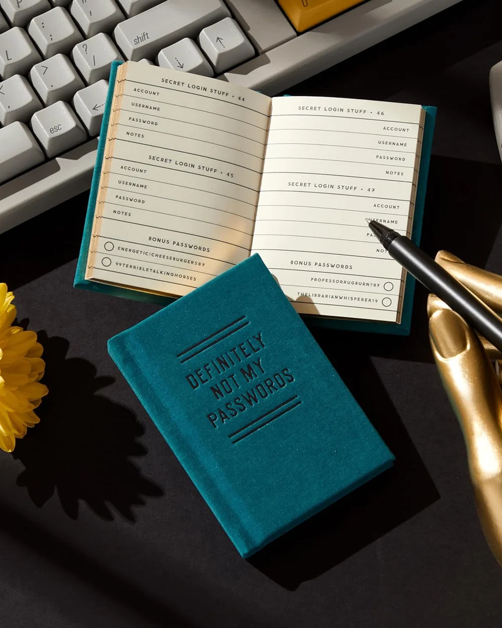 Definitely Not My Passwords Diary3.jpg