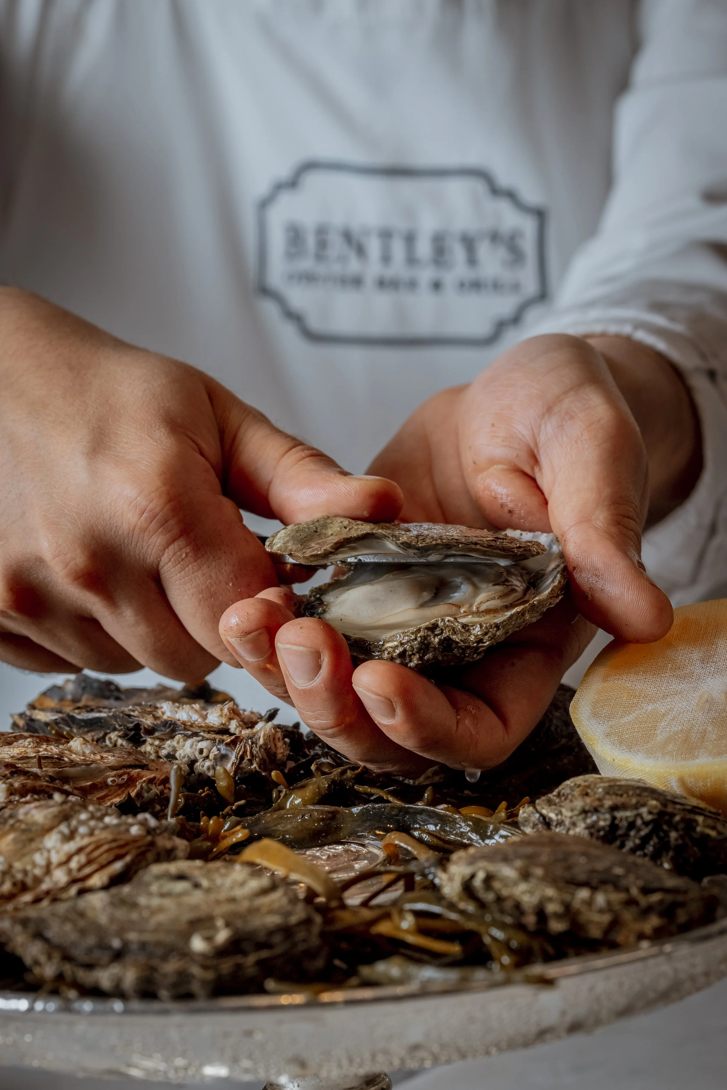 BENTLEY’S OYSTER BAR &amp; GRILL MOTHER'S DAY 2026 OYSTER MASTERCLASS 