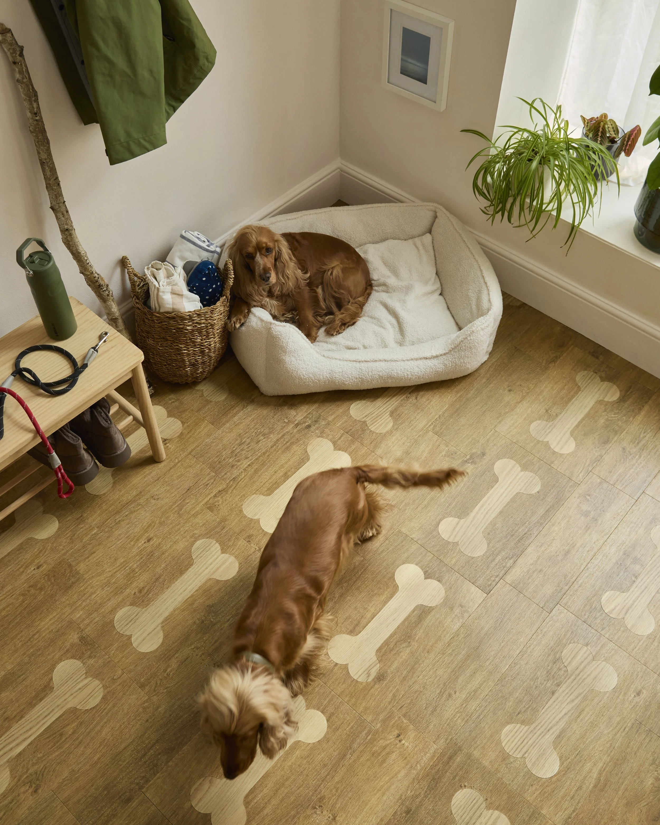 Amtico-Resi-Random-Bone-floor-AR0W7830-AR0W7460-CAD-C0426-019B-Social-June-2026-TIFF.jpeg