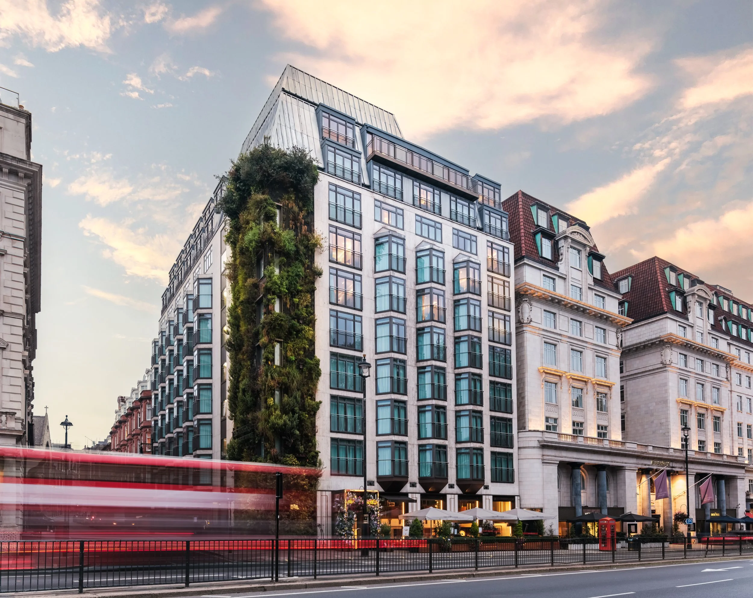 LUNCH AT 116 AT THE ATHENAEUM: MAYFAIR DINING WITH A WELCOMING TOUCH