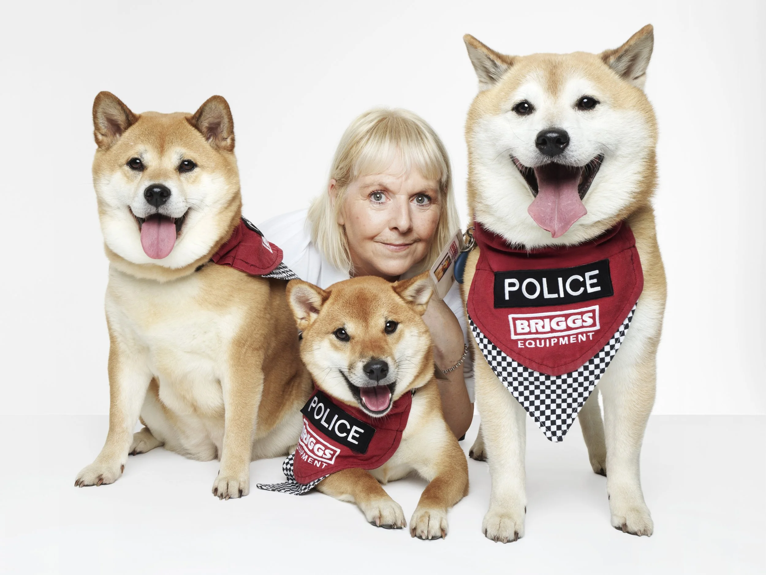 Japanese Corgi Police Dog Puzzle Adorable Corgi Nathan-00961 500