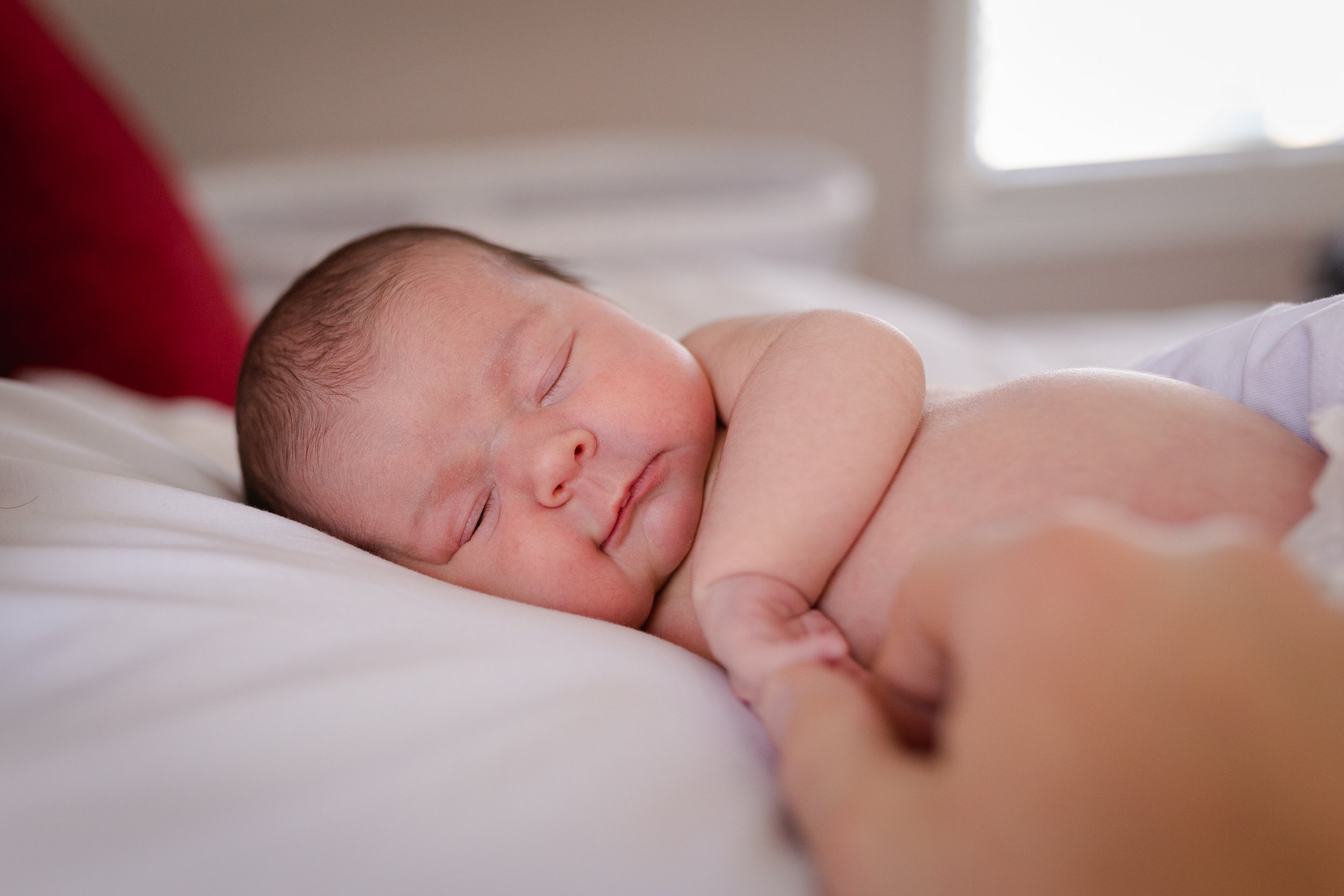 print jenny parker photography newborn in-home-6.jpg