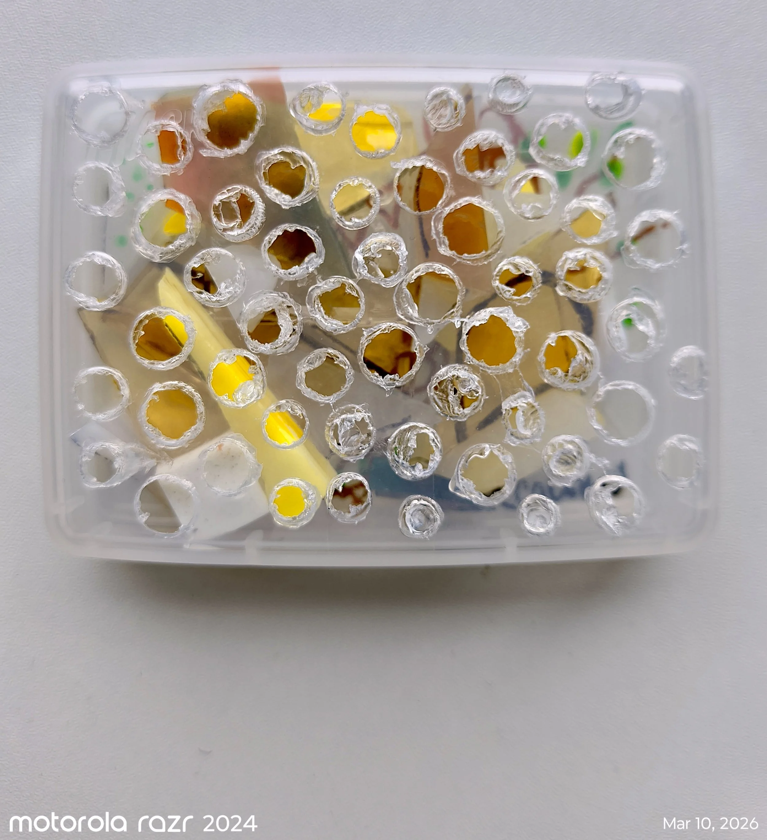 Andrea Liquidart Rochester NY artist stained glass_IMG_20260310_110730827.jpeg