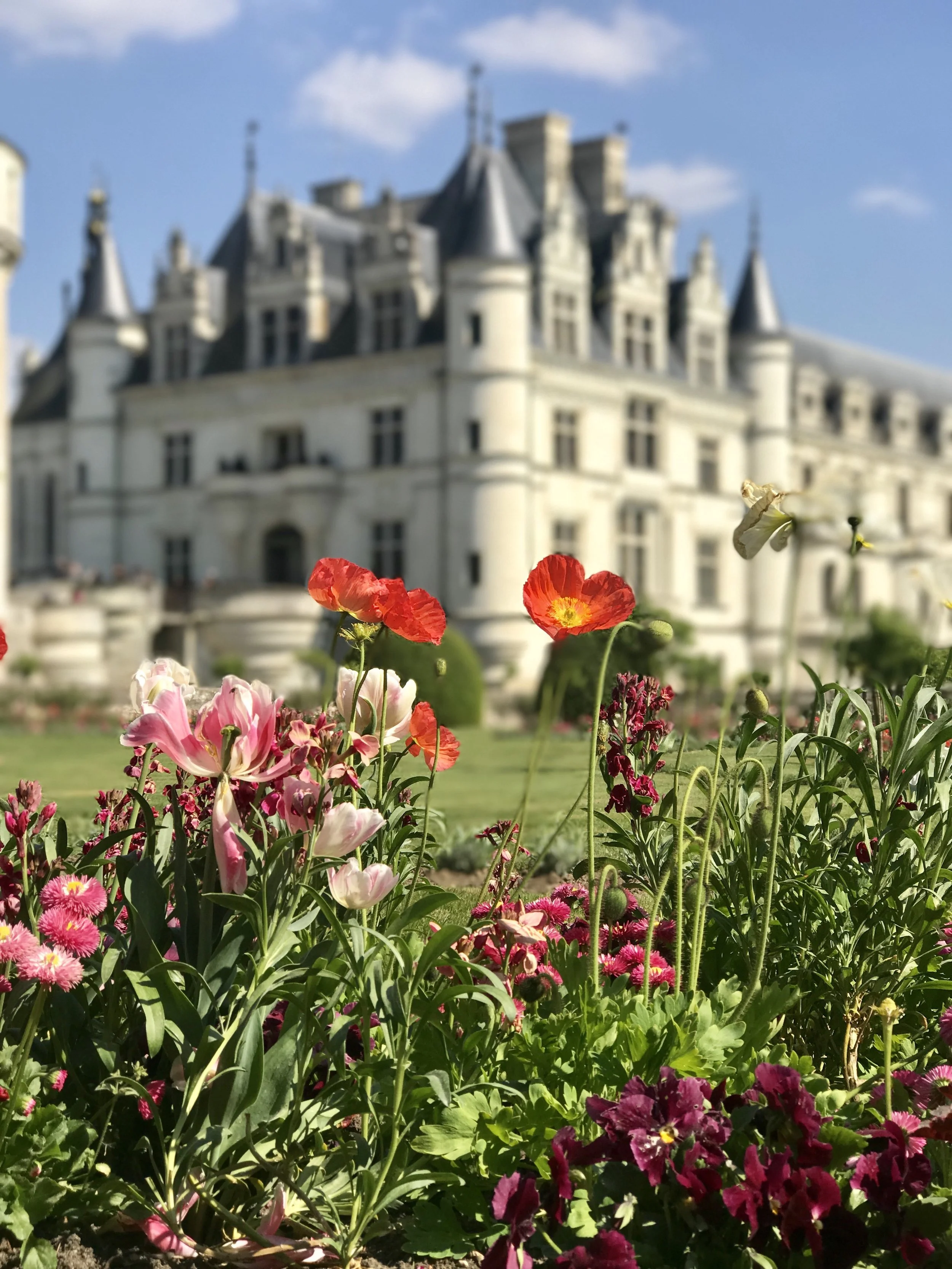 FullSizeRender 6.jpg