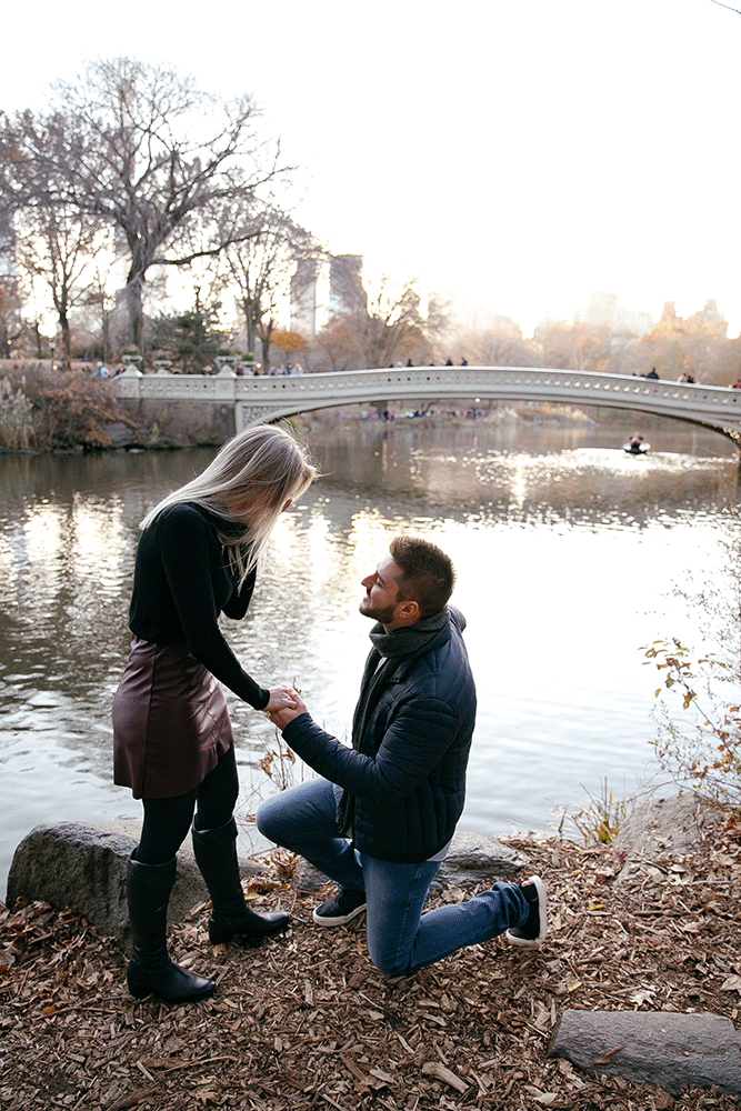 Pedido de casamento em Nova York (Copy)