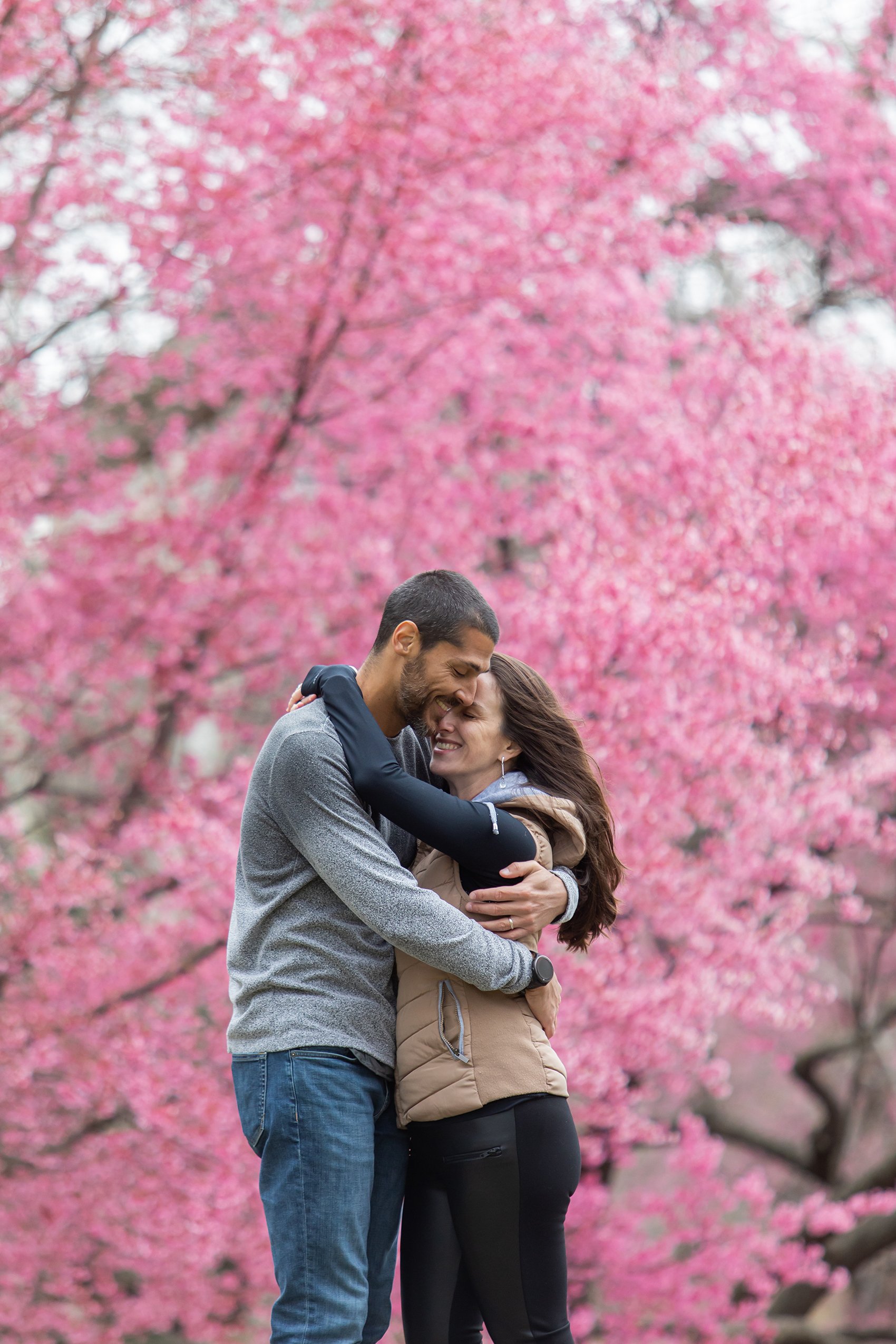 cerejeira-nyc (2).jpg