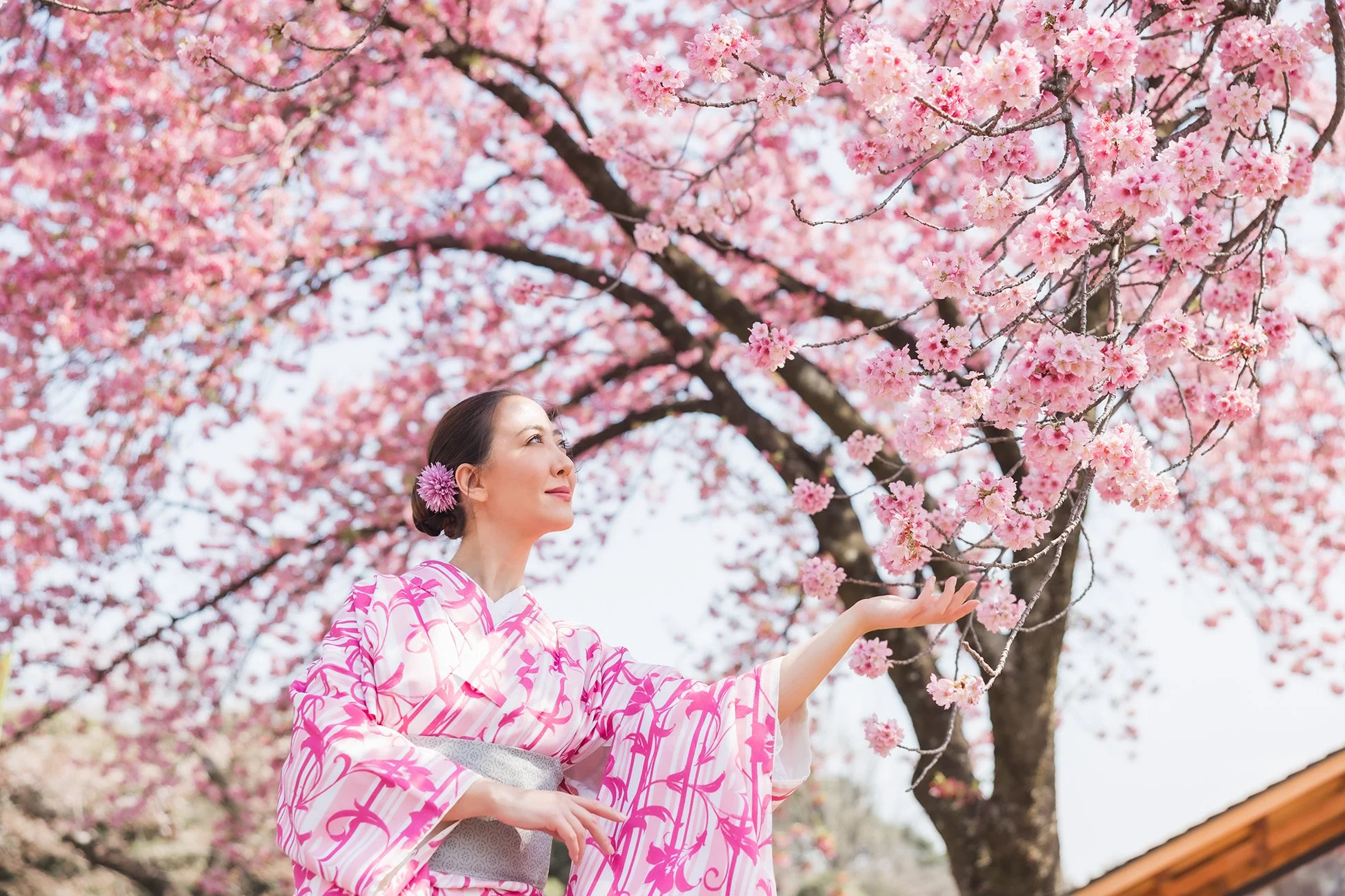 fotografa-brasileira-em-toquio (1).jpg