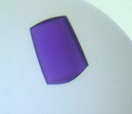 F9_2_Visible (Default)_Drop.jpg