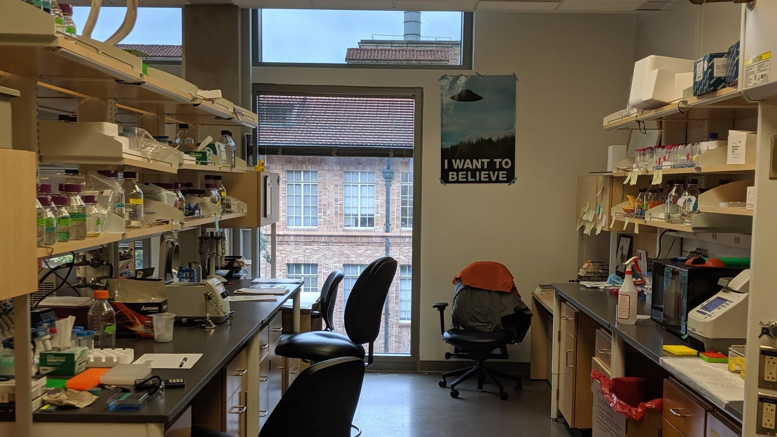 Main Lab
