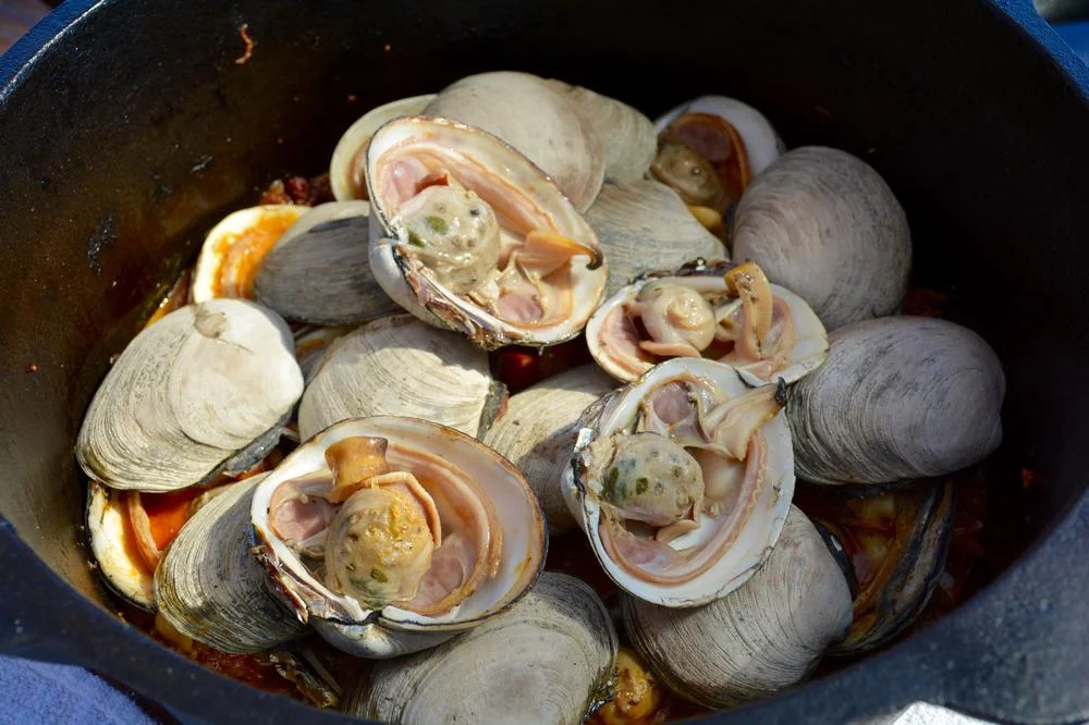 Clams 