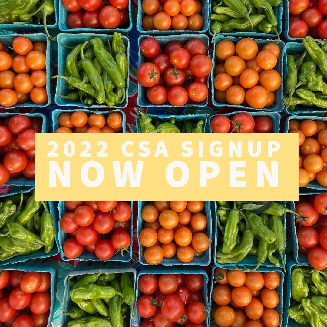 It&rsquo;s that time of year again! Our CSA registration is now live! Sixteen weeks of local, nutrient dense, chemical free vegetables. Check out our website to see all the reasons you should join and sign up today! Click the link in our bio.