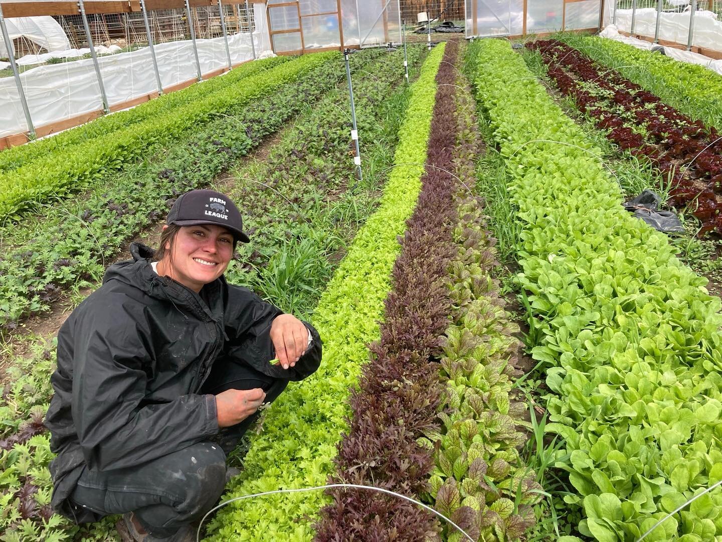Interested in joining a CSA this year? In joining our CSA, not only do you receive a diverse box of fresh, local vegetables each week at an affordable price, you also gain a personal connection with the farmers who grow your food, know exactly where 