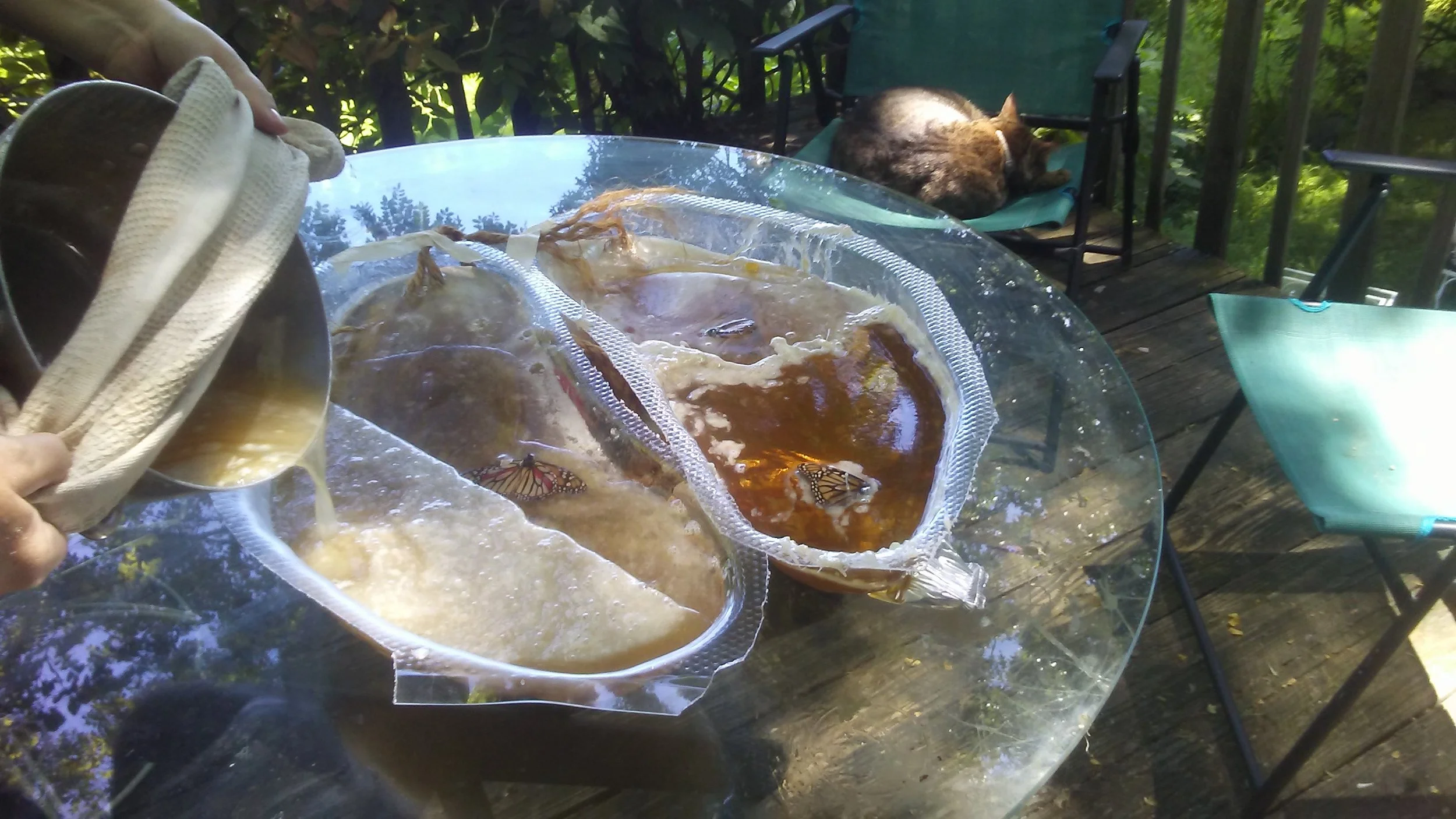 gel pour copy 2.jpeg