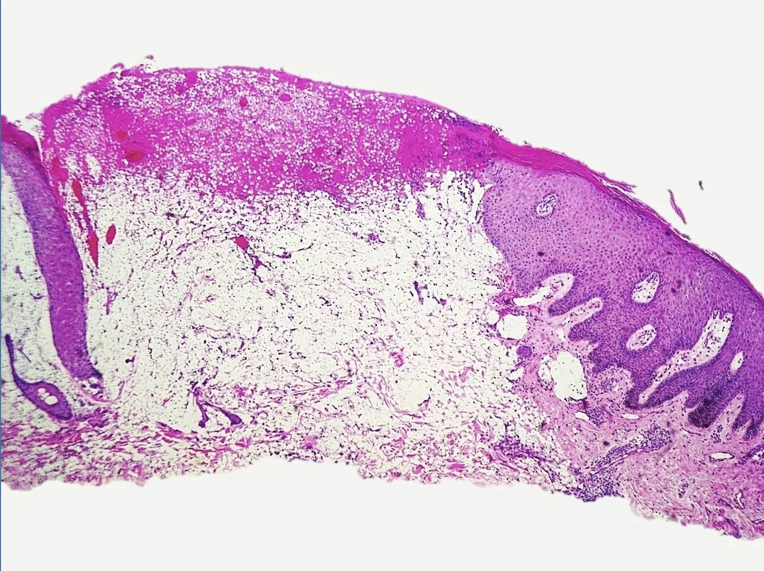 Case4_2.jpg
