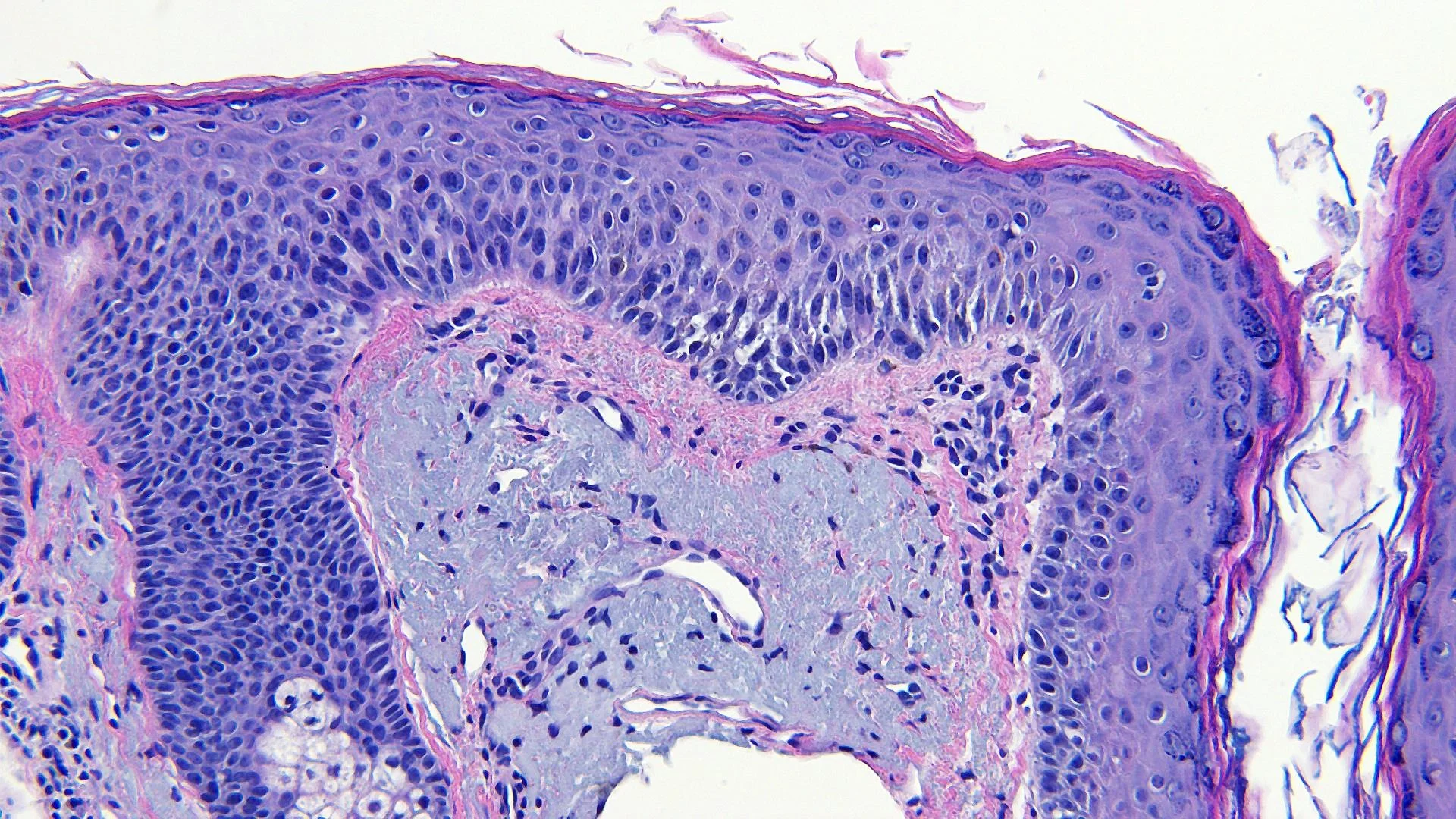 Case8_5.jpg