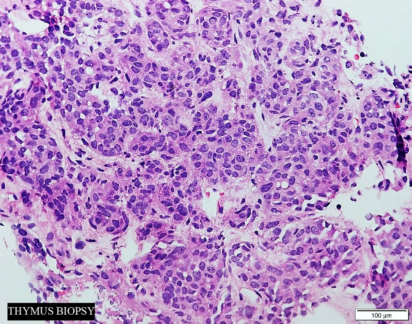 Case9_5.jpg