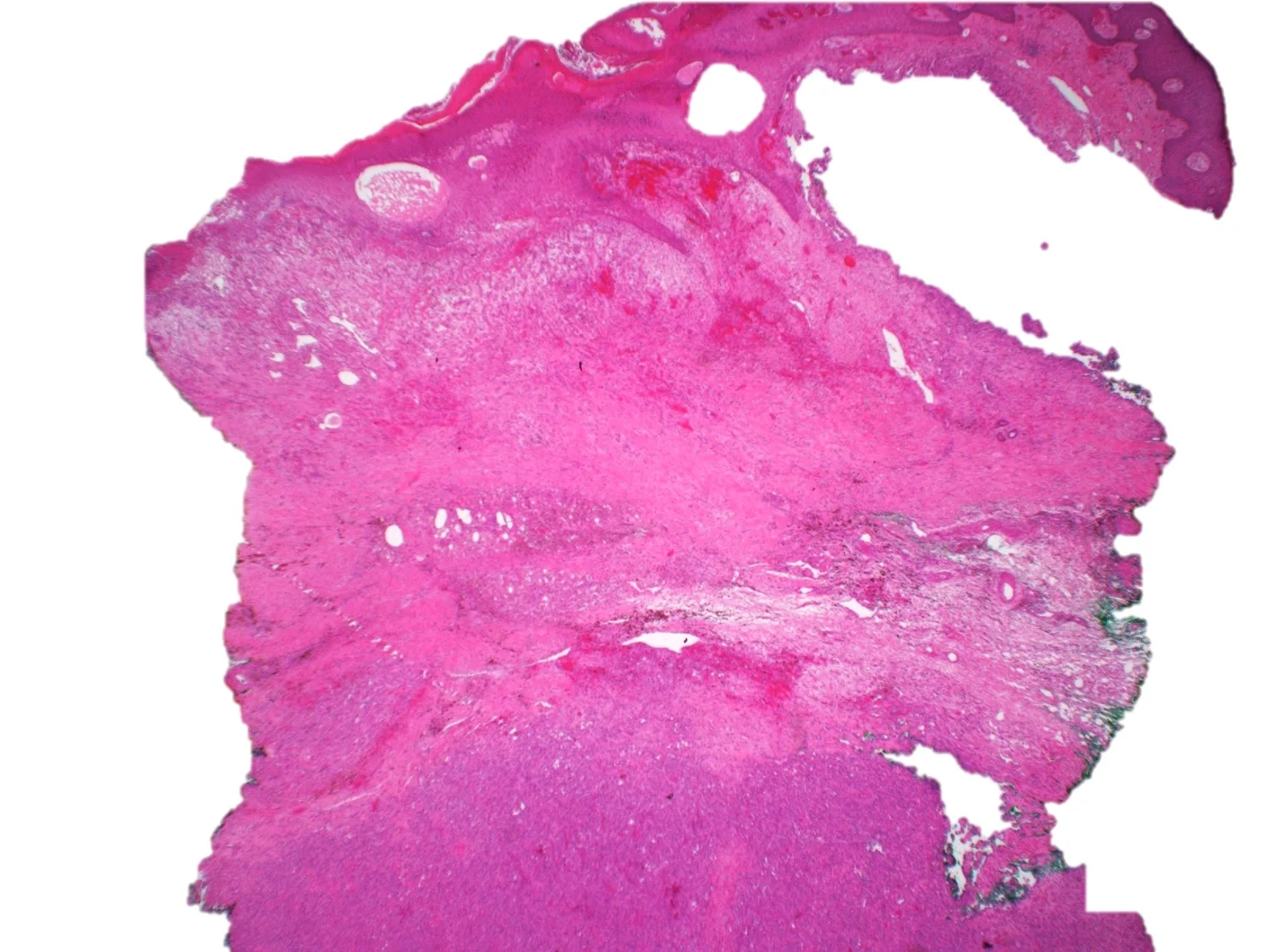 Case12_2.jpg