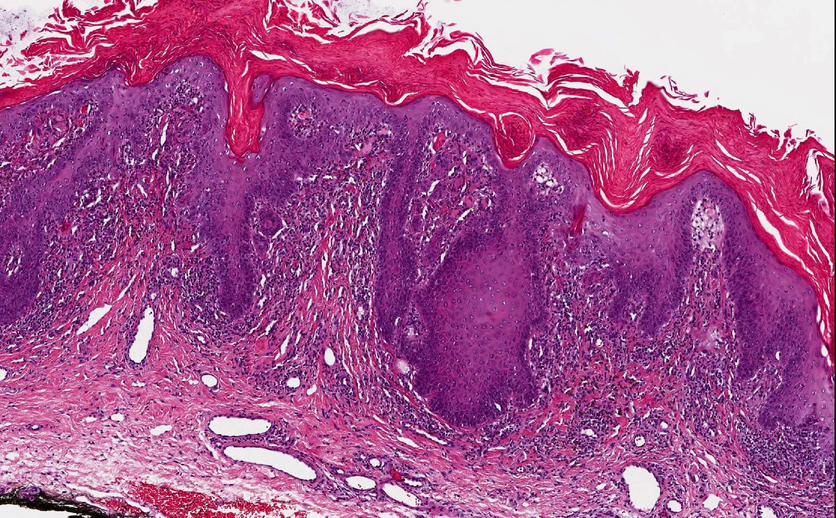 Case29_7.jpg