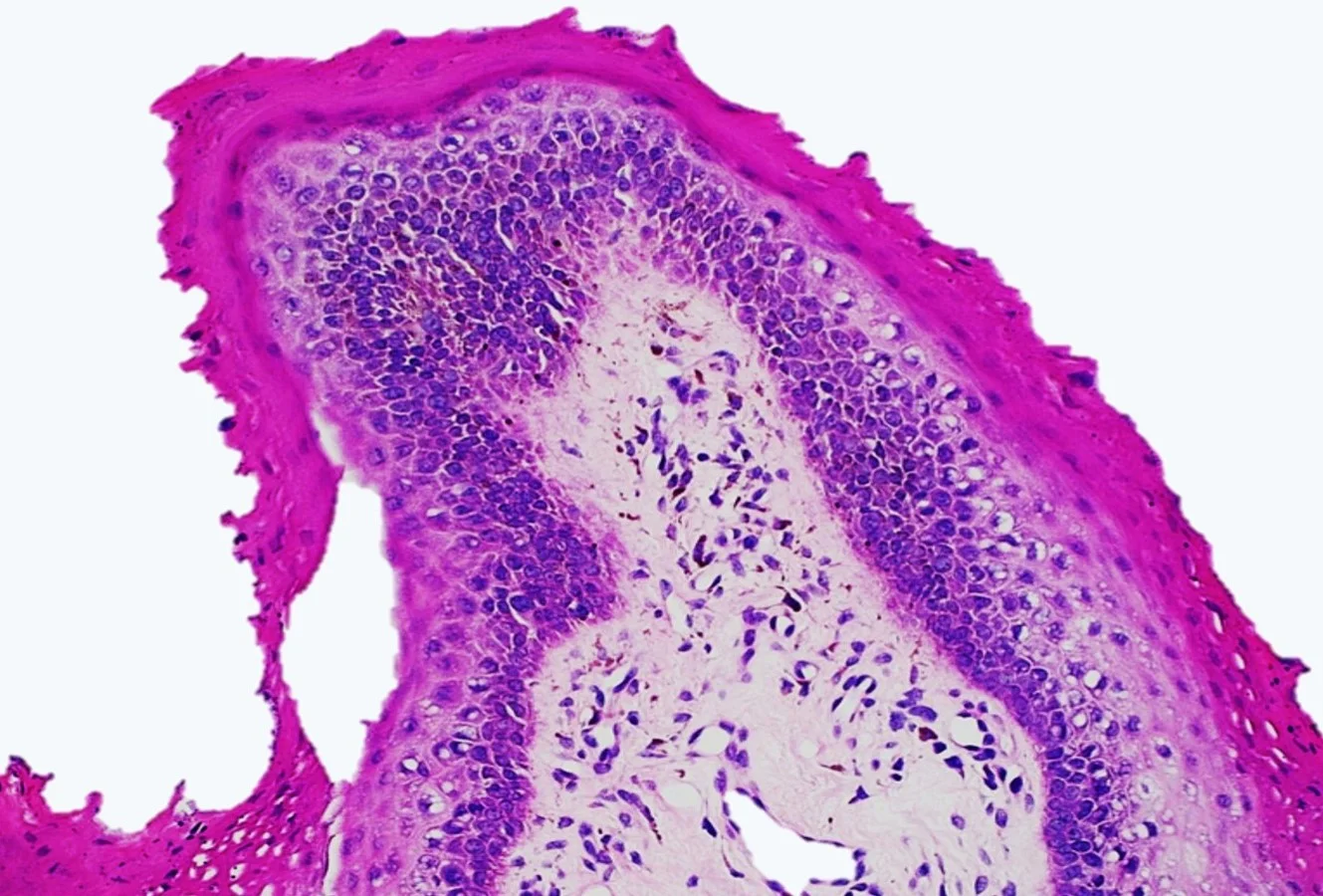Case18_5.jpg