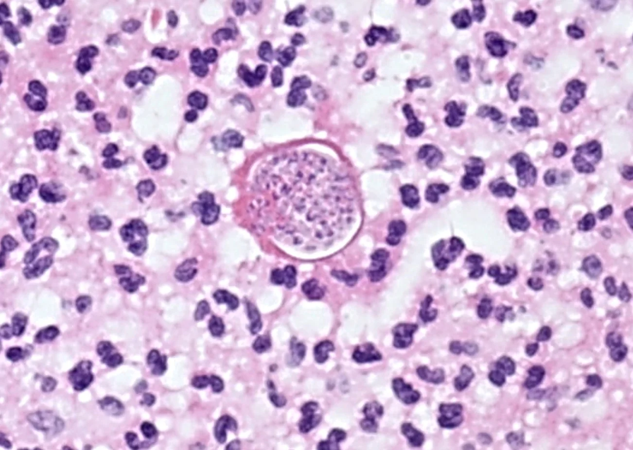 Case34-6.jpg