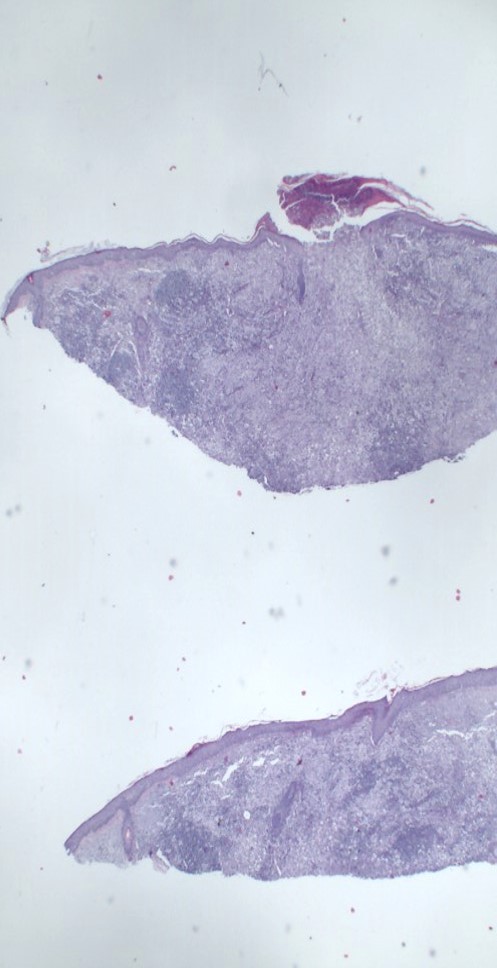 Case26-5.jpg