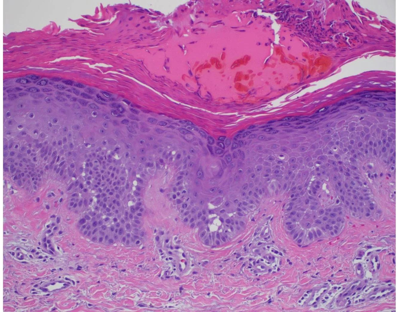 Case23-9.jpg