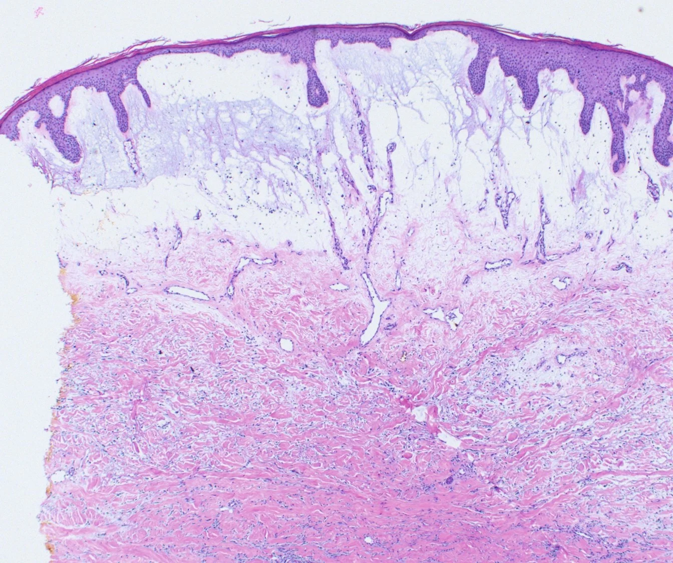 Case21b-8.jpg