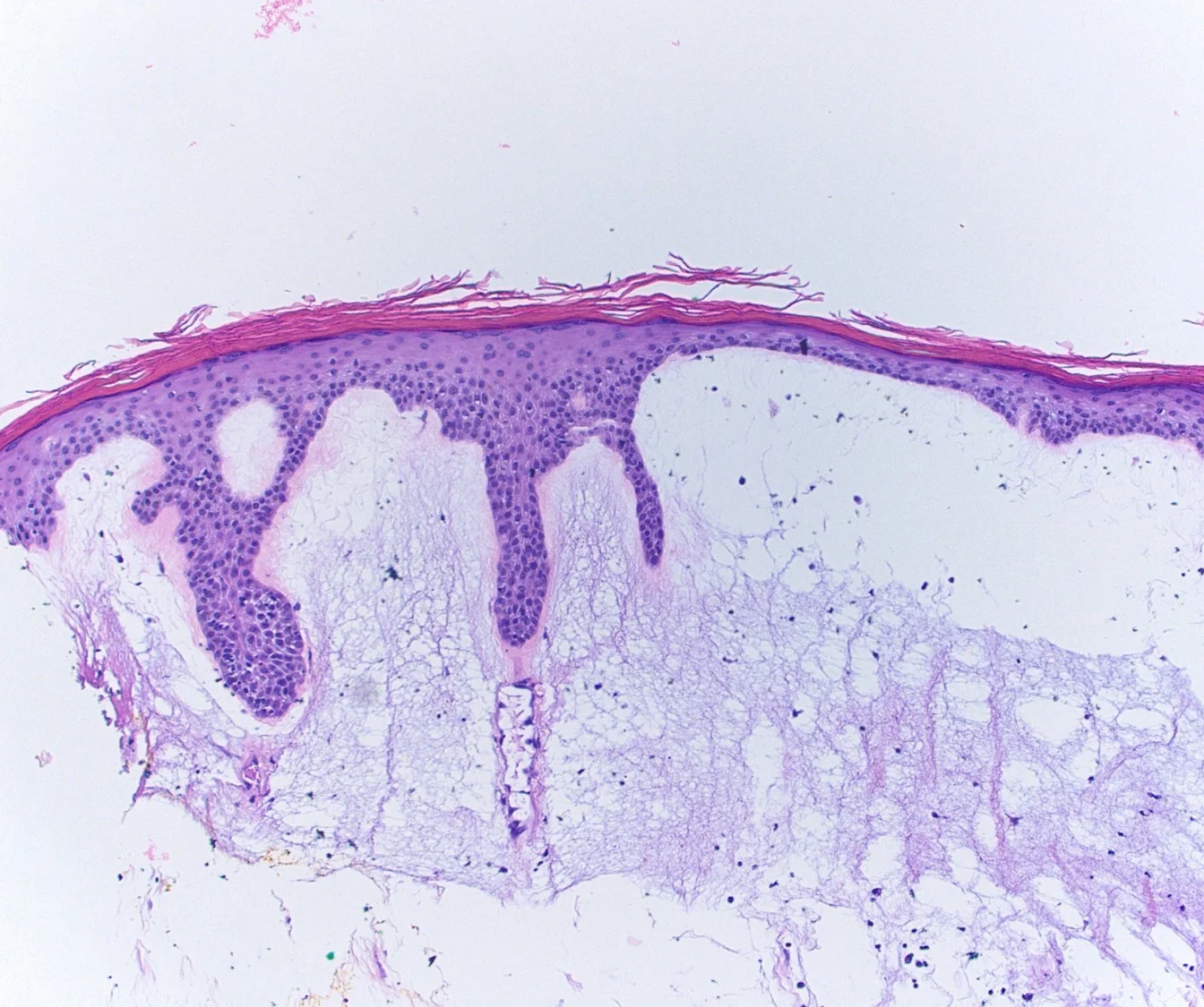 Case21b-9.jpg
