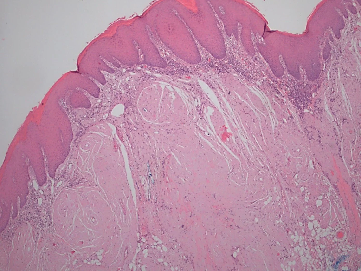 Case19-3.jpg