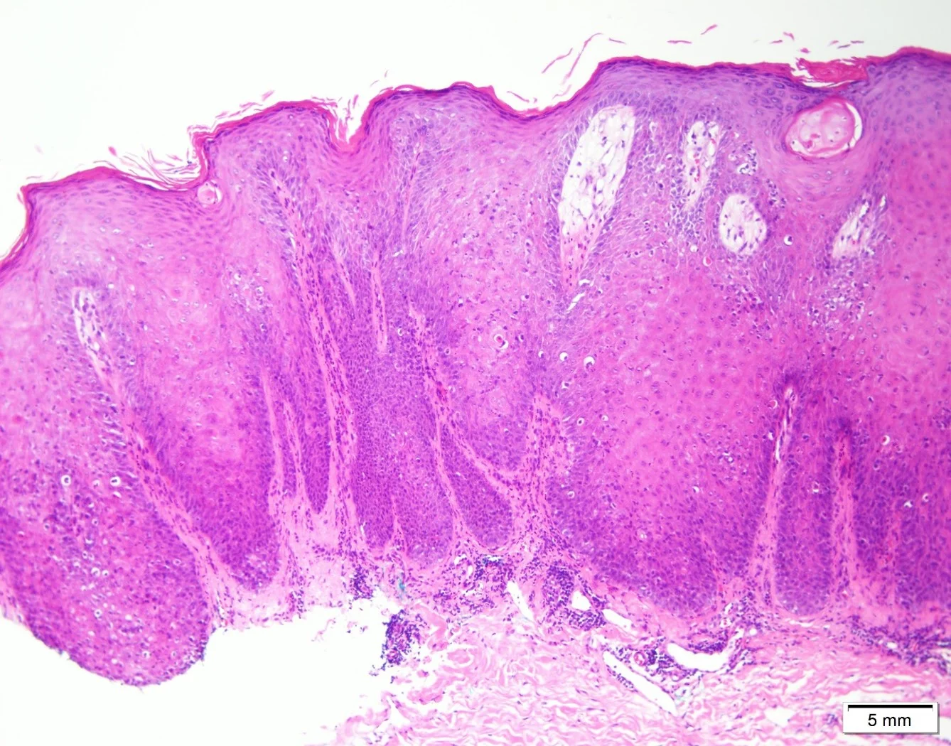 Case1-7.jpg
