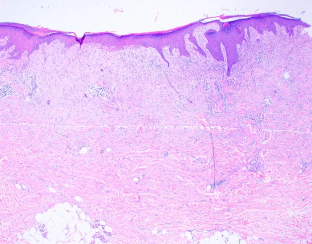 case6-7.jpg