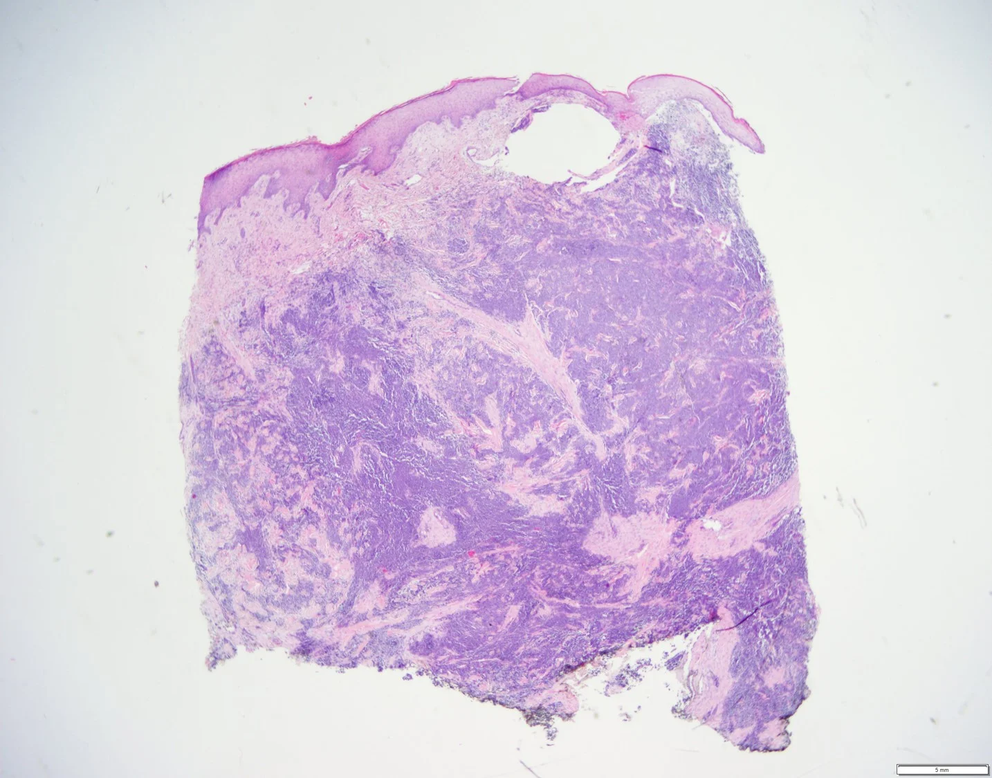 case12-3.jpg