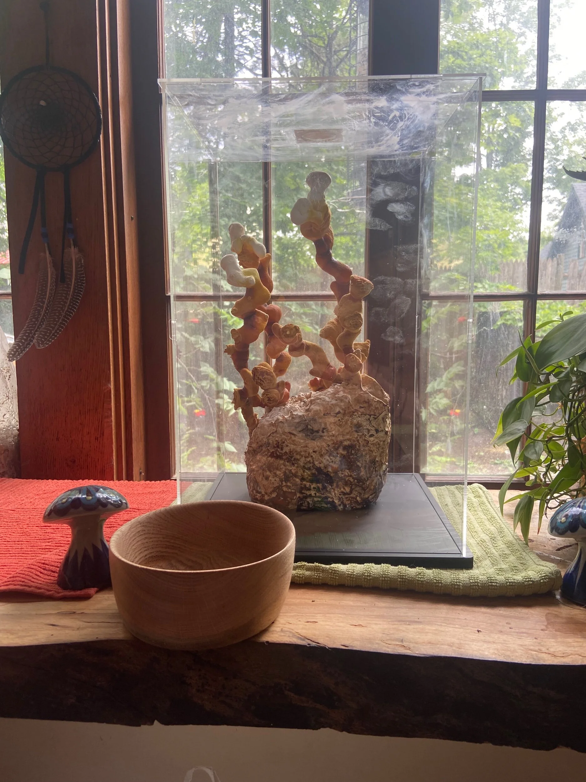 92A083B9-B1E0-47D5-8ED2-BA7947D3310E