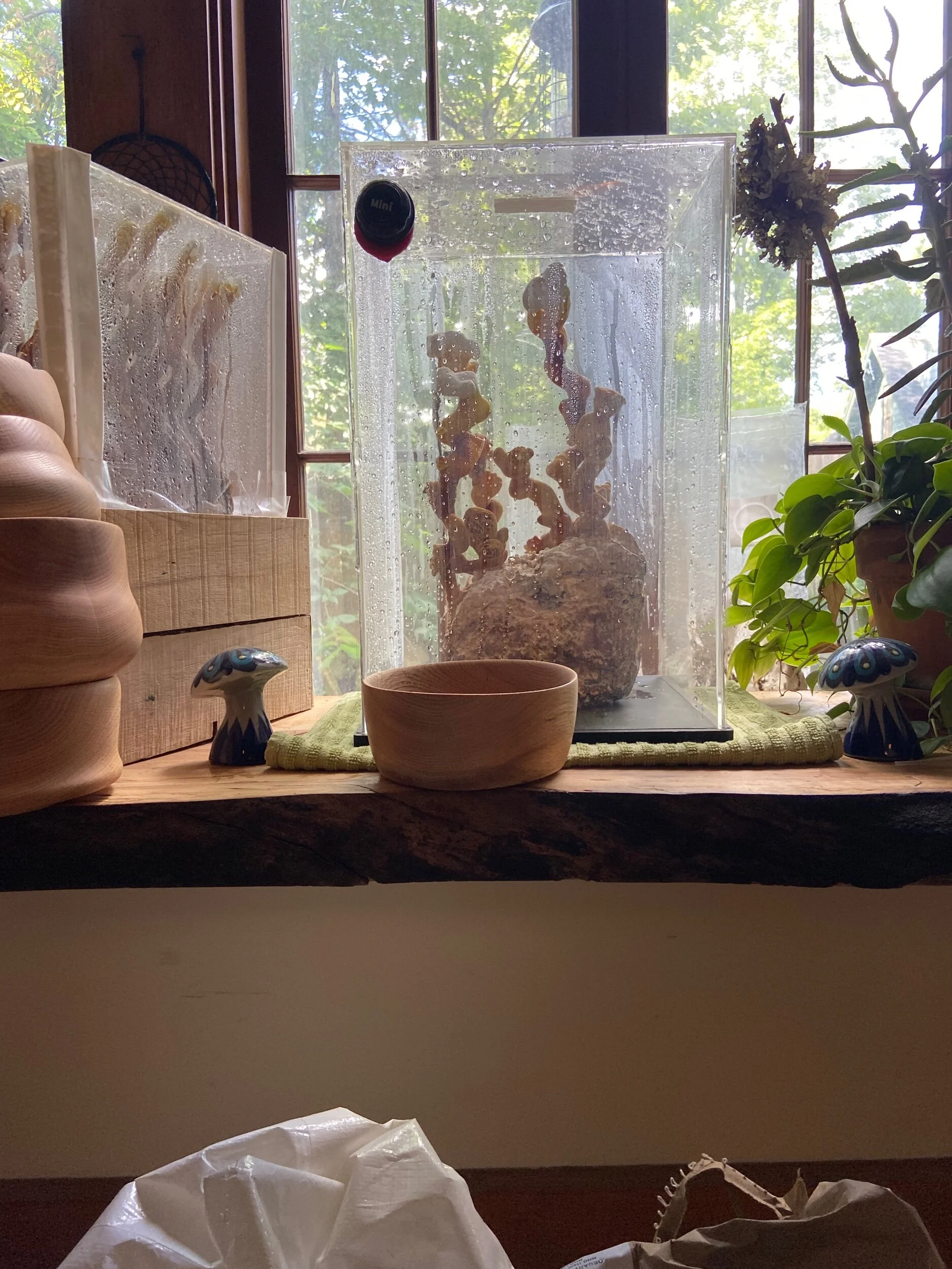 FFDB8C9E-7A44-4B30-B975-804716A95402