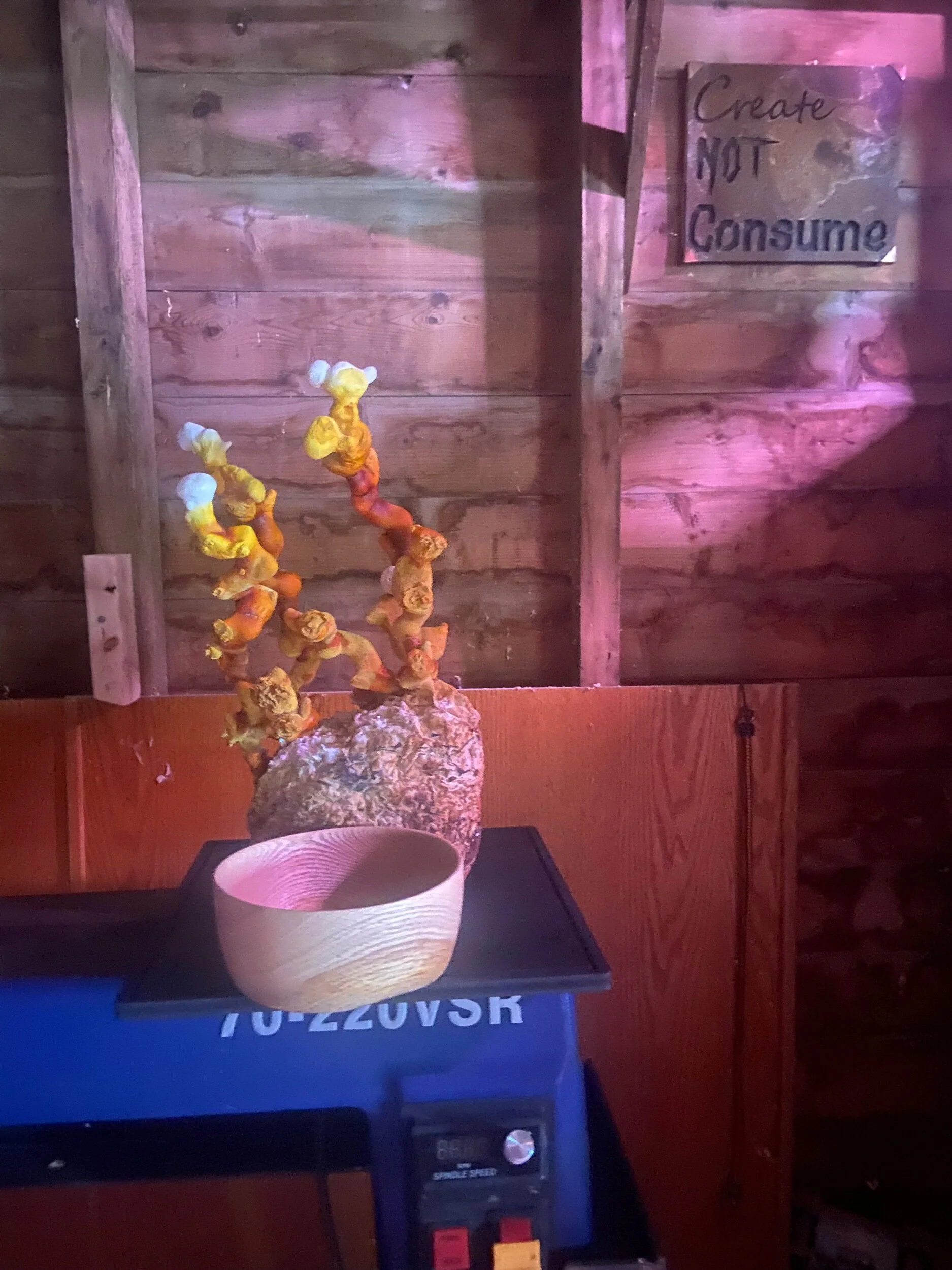 858A44CE-BEA4-4349-9F17-D3BCCD5494F7