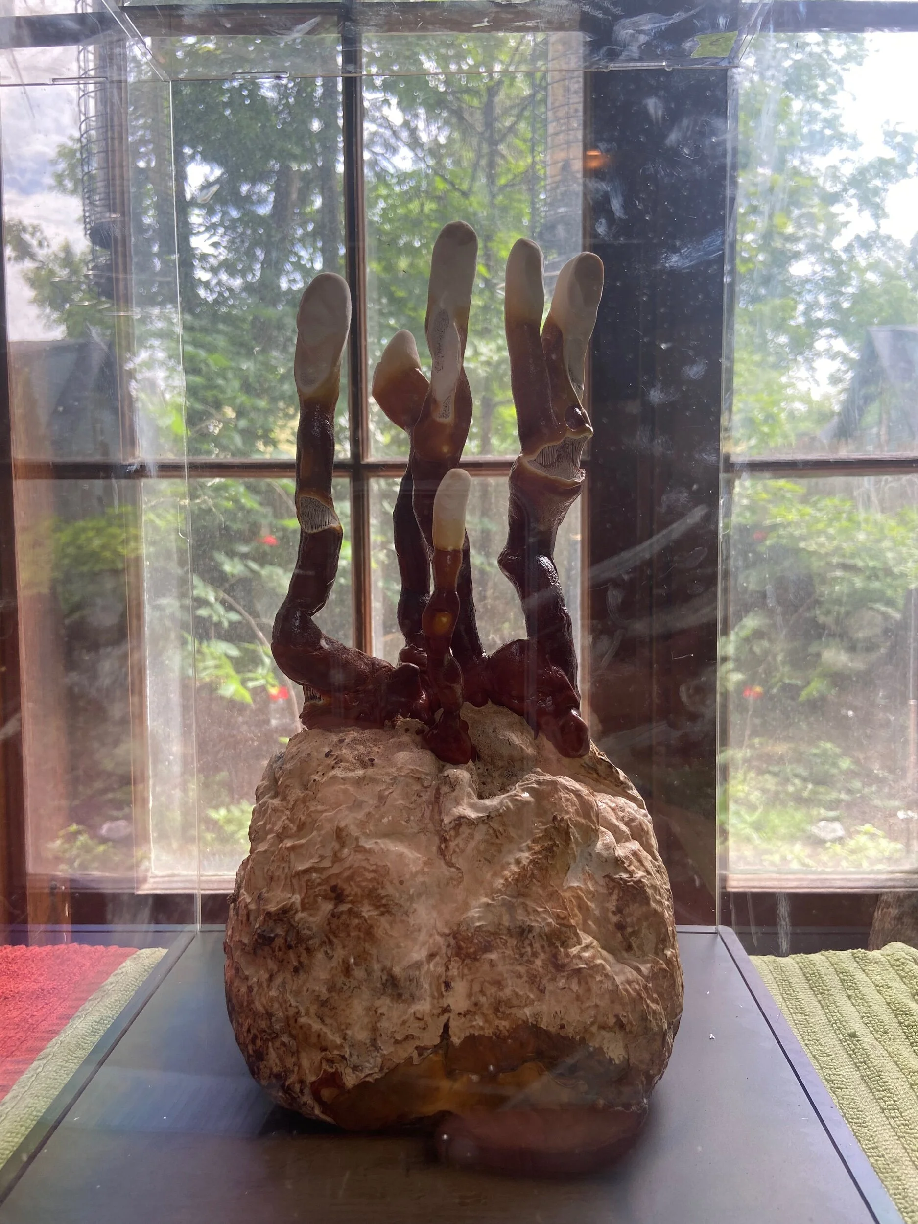 F285CD5F-D04E-411E-8B30-AD7A6308103A