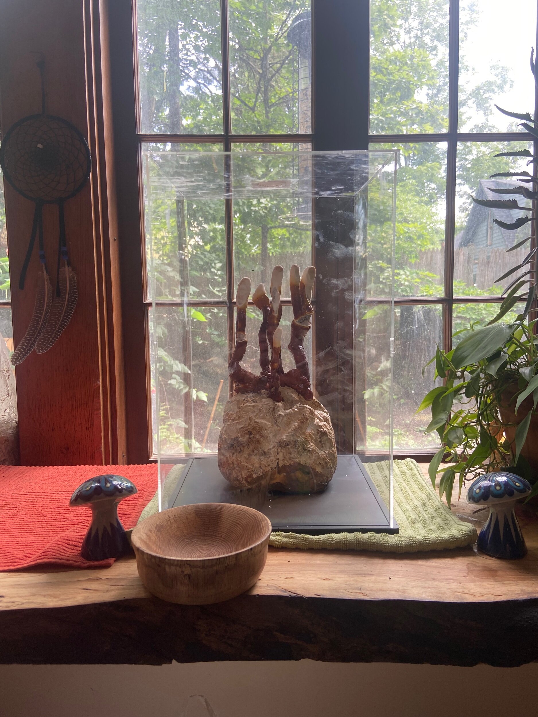 54E809E9-8A18-49A0-9F85-E98379991F84