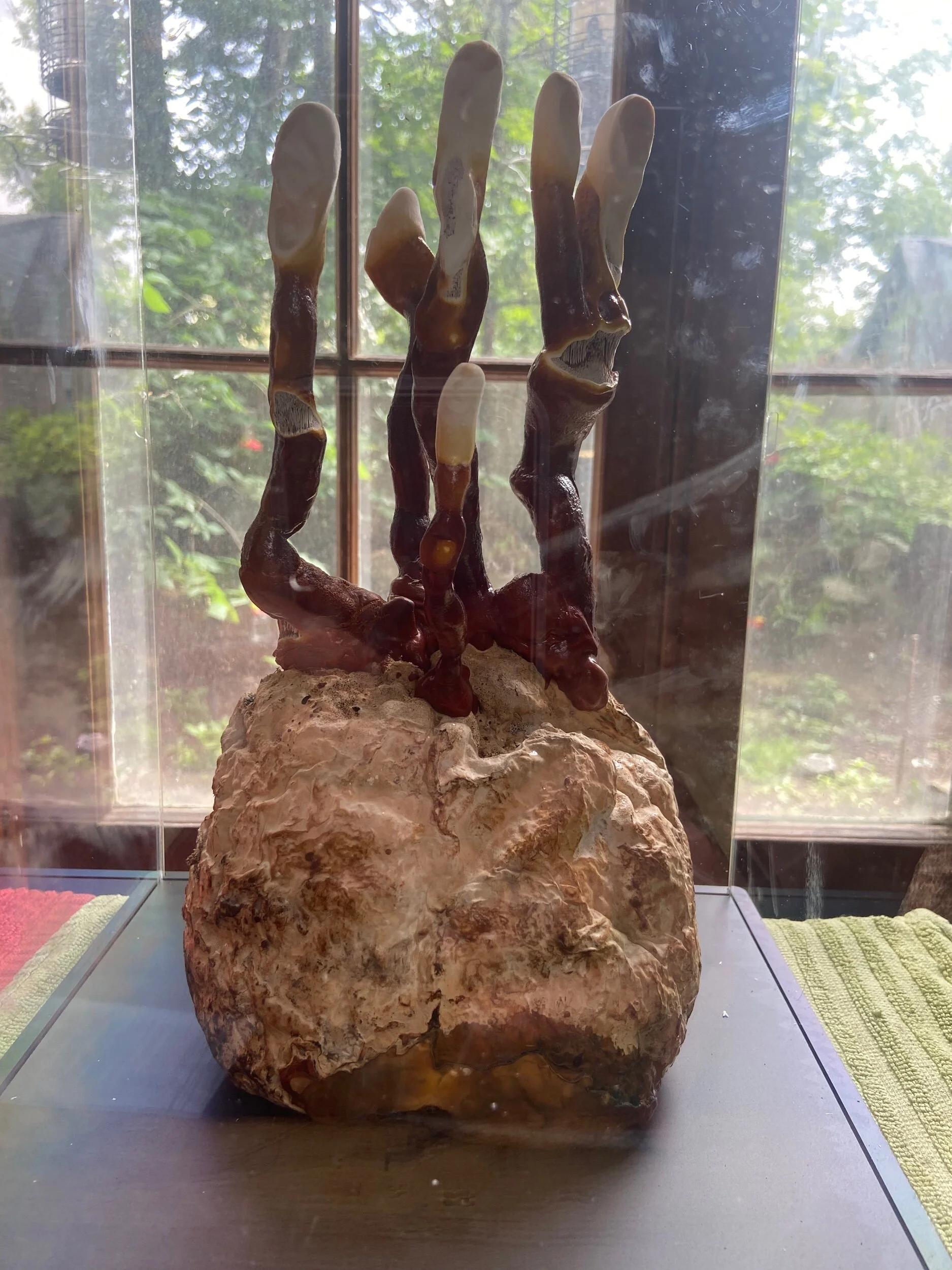 77F966C0-149C-4FF6-83EC-60D503CECD2D