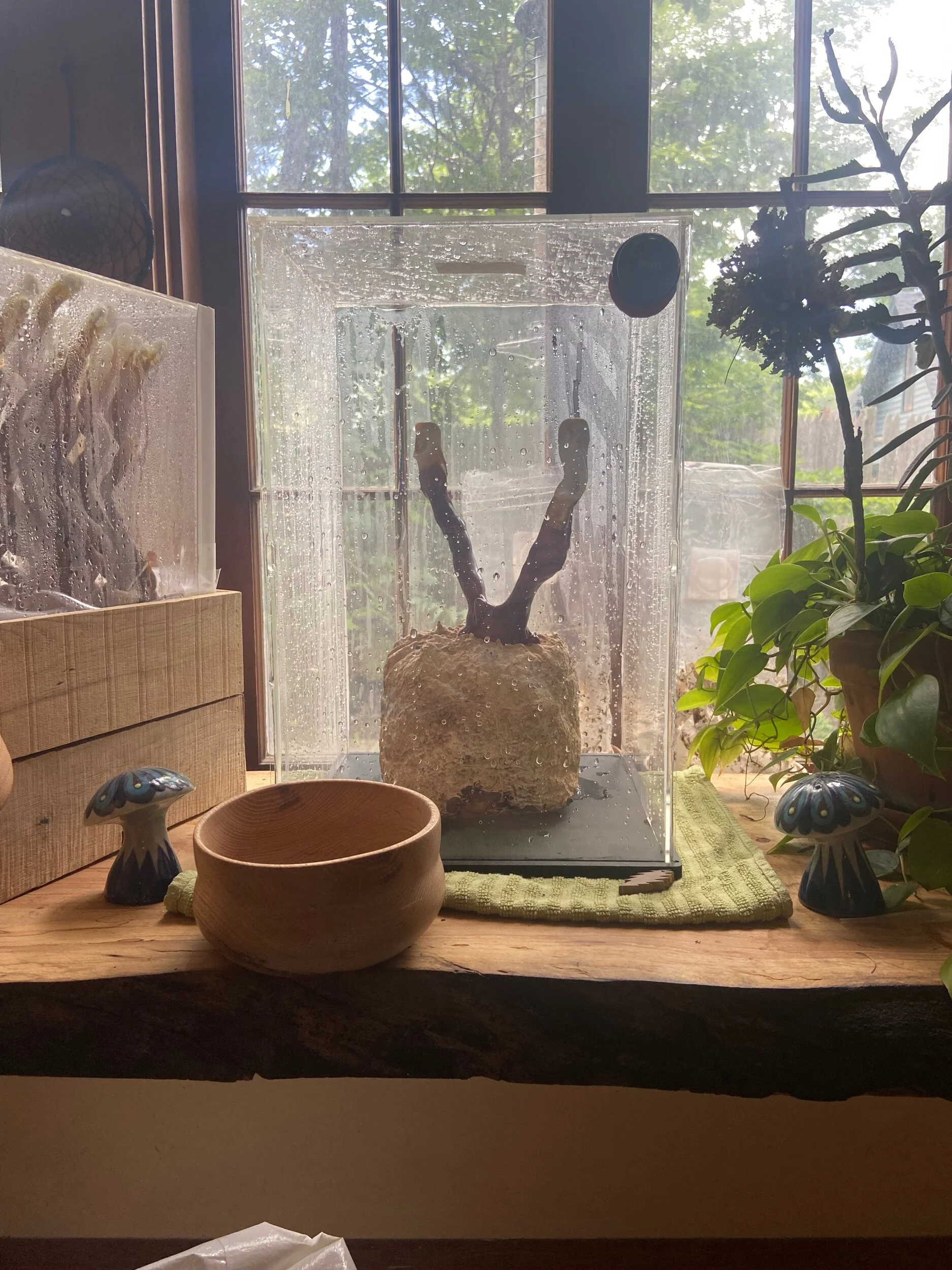 6280B590-C321-4FE3-B734-7A3011DD28A7