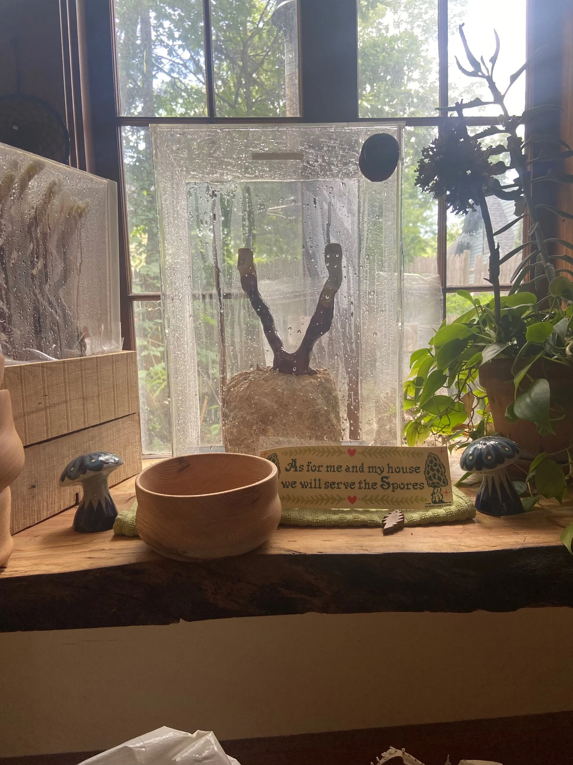 23A85F26-B311-4048-9EF4-060470C29ED8