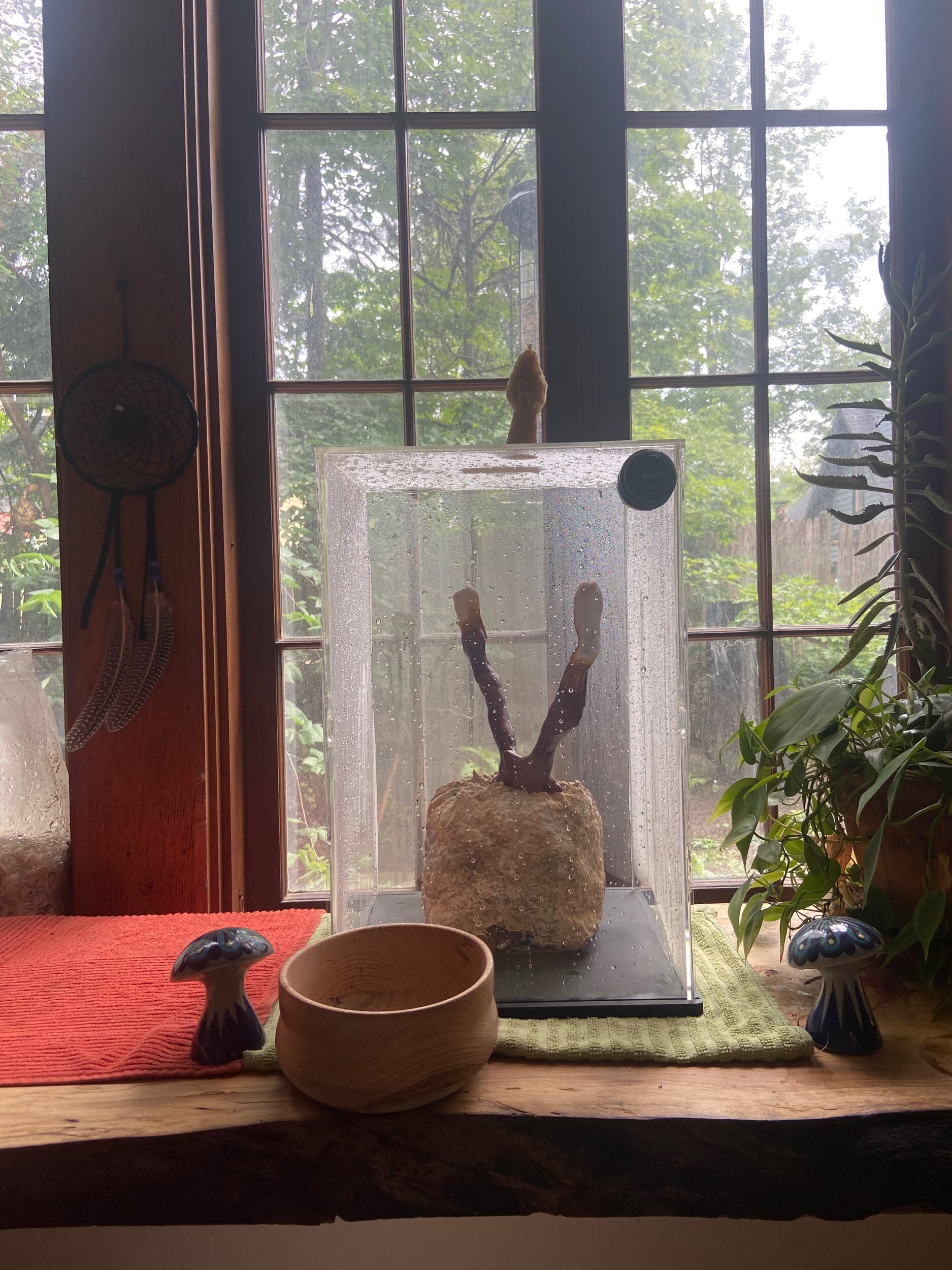 A5AB719F-6240-4CDE-AC10-B167FC199D46