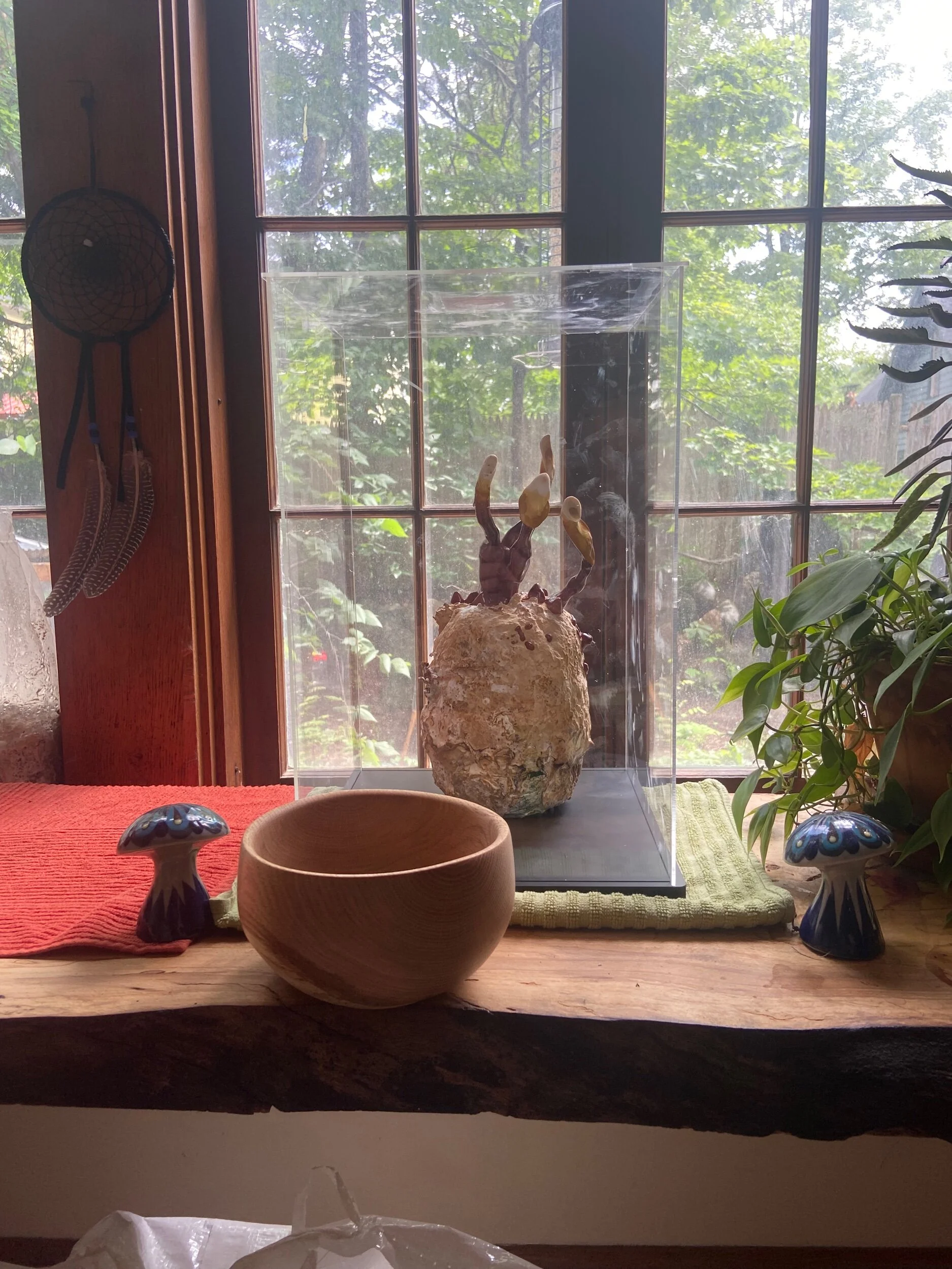 B66170F9-7BA5-4A53-BACA-86807DAC99A7