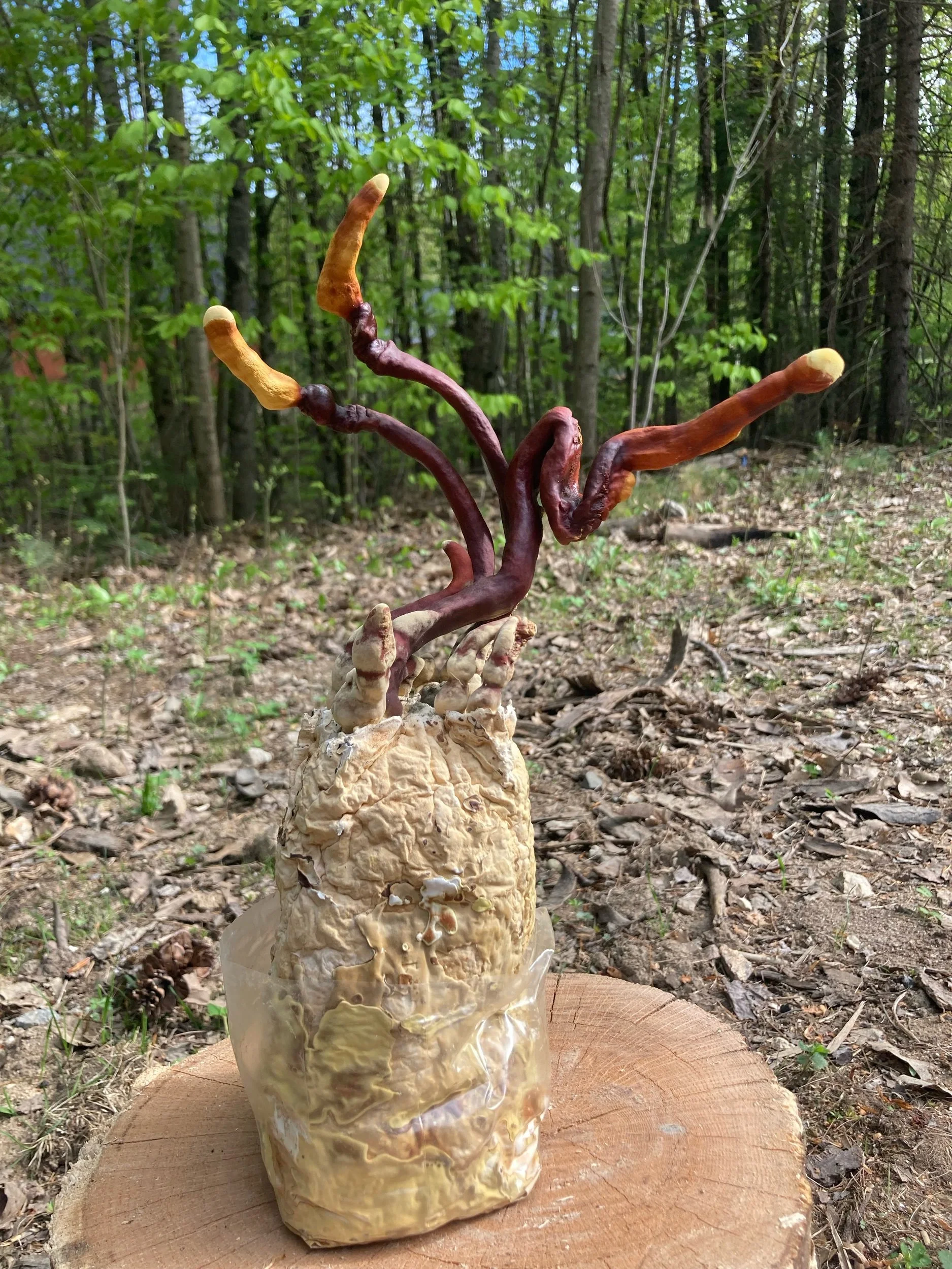 E800A641-DD5C-4BEC-8A66-A8214194A1E6