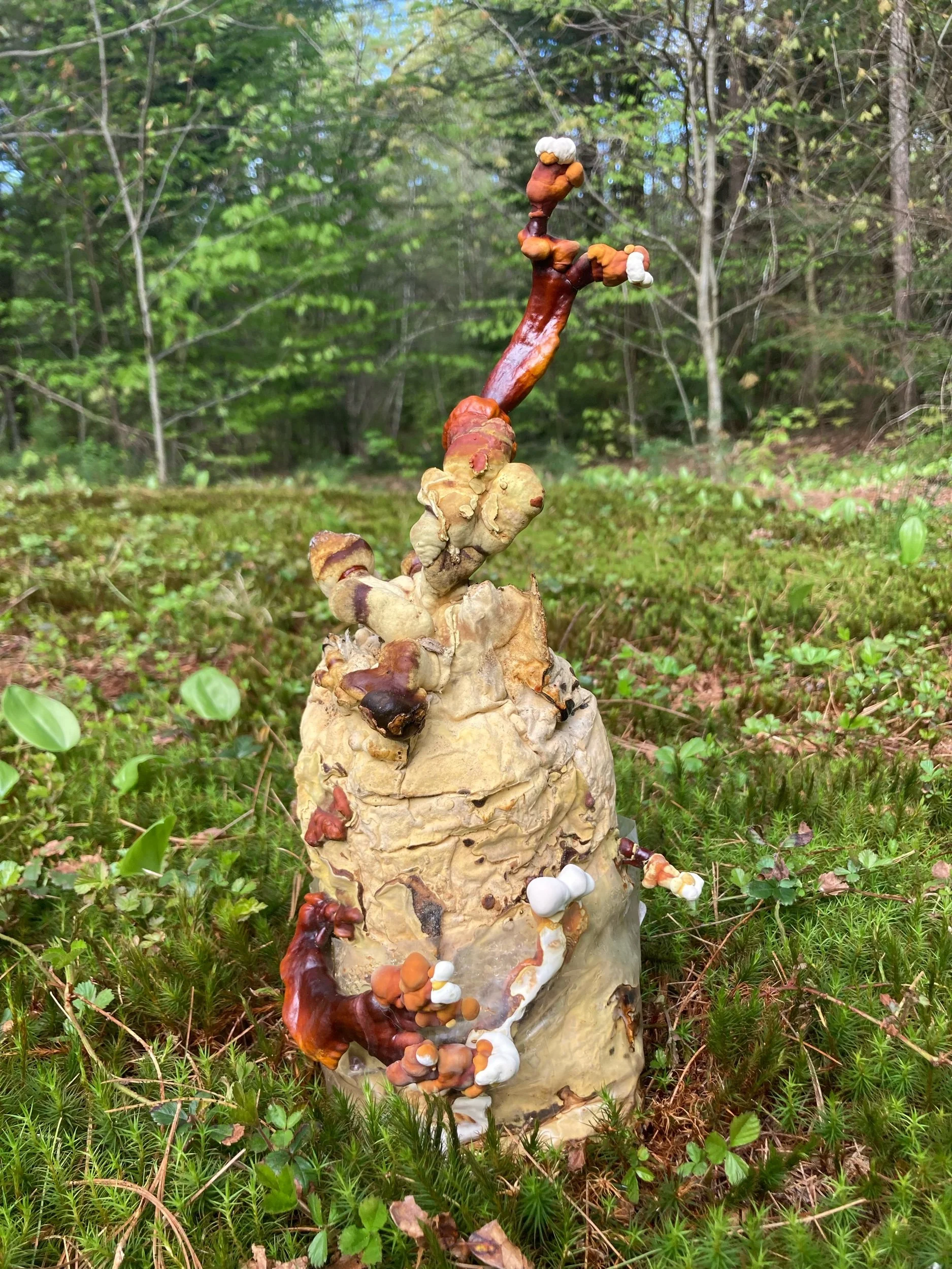 6CF70E49-D49E-4A98-B47A-4A59E705A4E1