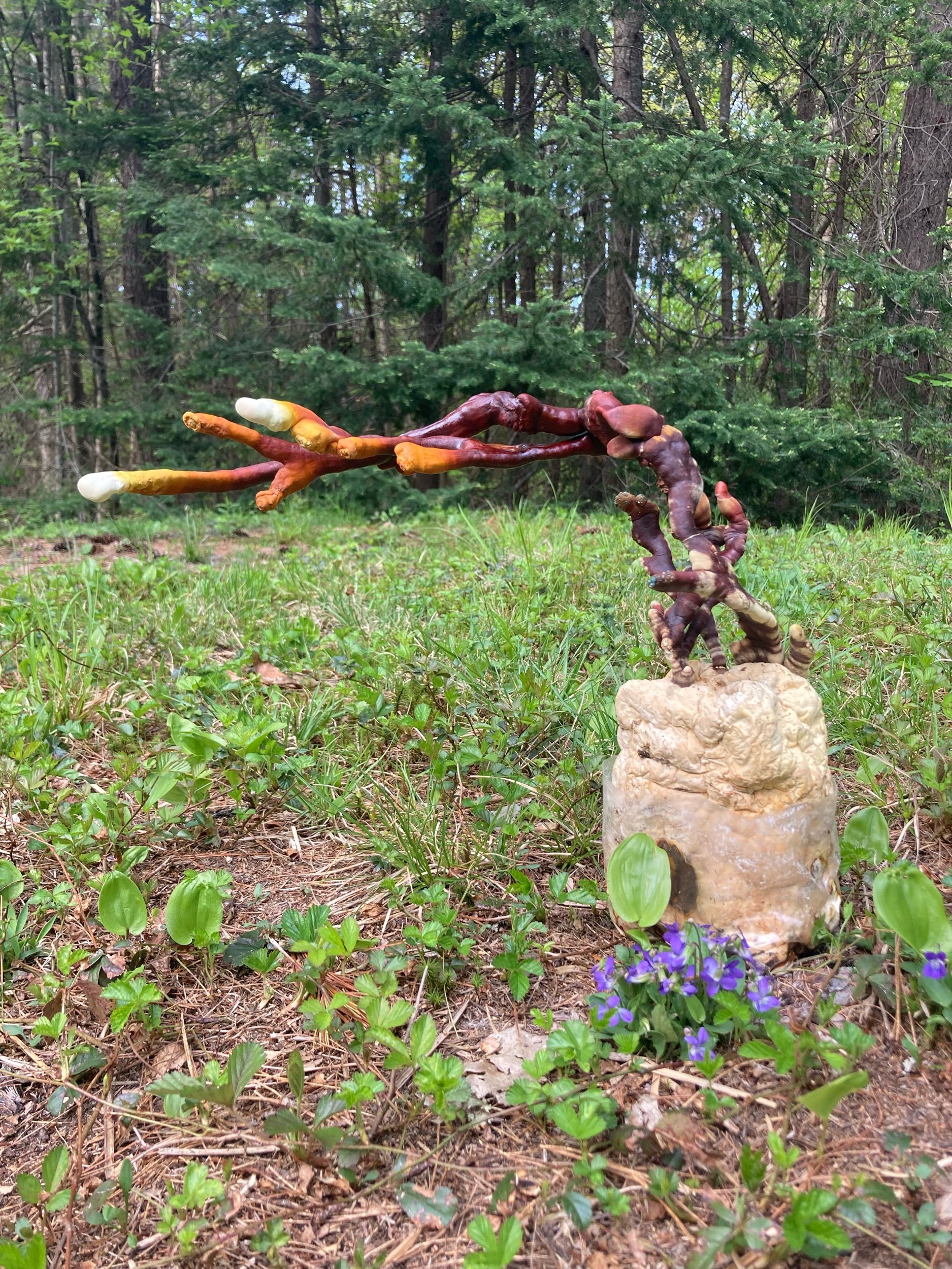 D089AFB7-B3B9-43E2-B4FF-4CBDF9E00C5F