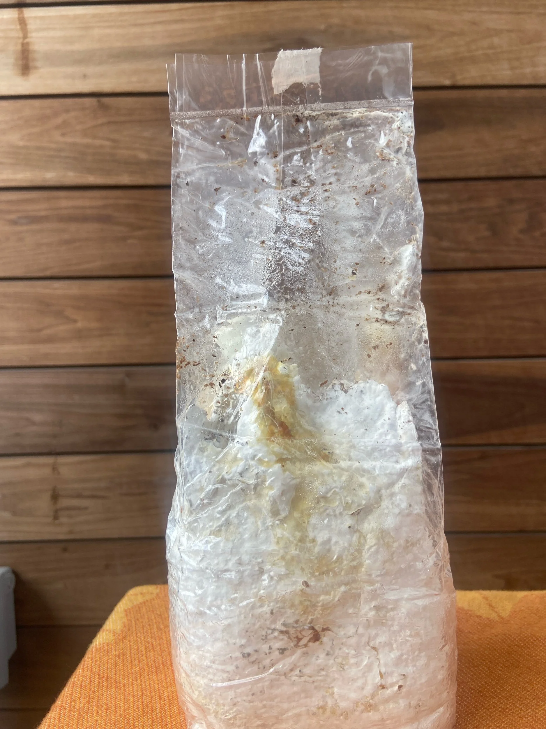 A7FCE34D-1067-4C05-BD53-BFFAD5FC826E